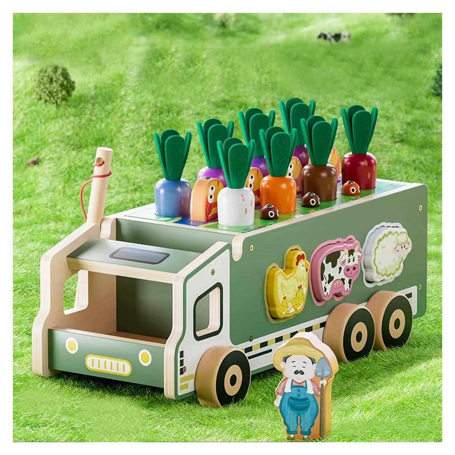 Toddler Educational Montessori Toys for 2 3 4 Years Old Boys and Girls, Carrots Farm Fruit Harvest Game, Color Shape Sorting Toys Gifts for Kids 2-4