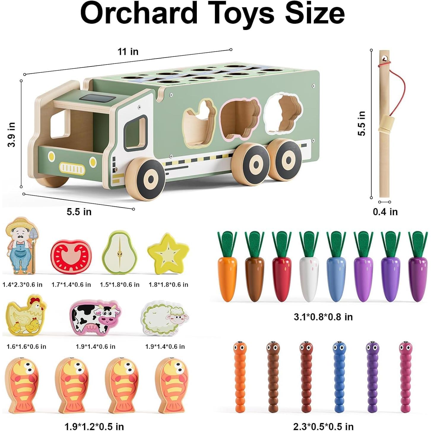 Toddler Educational Montessori Toys for 2 3 4 Years Old Boys and Girls, Carrots Farm Fruit Harvest Game, Color Shape Sorting Toys Gifts for Kids 2-4