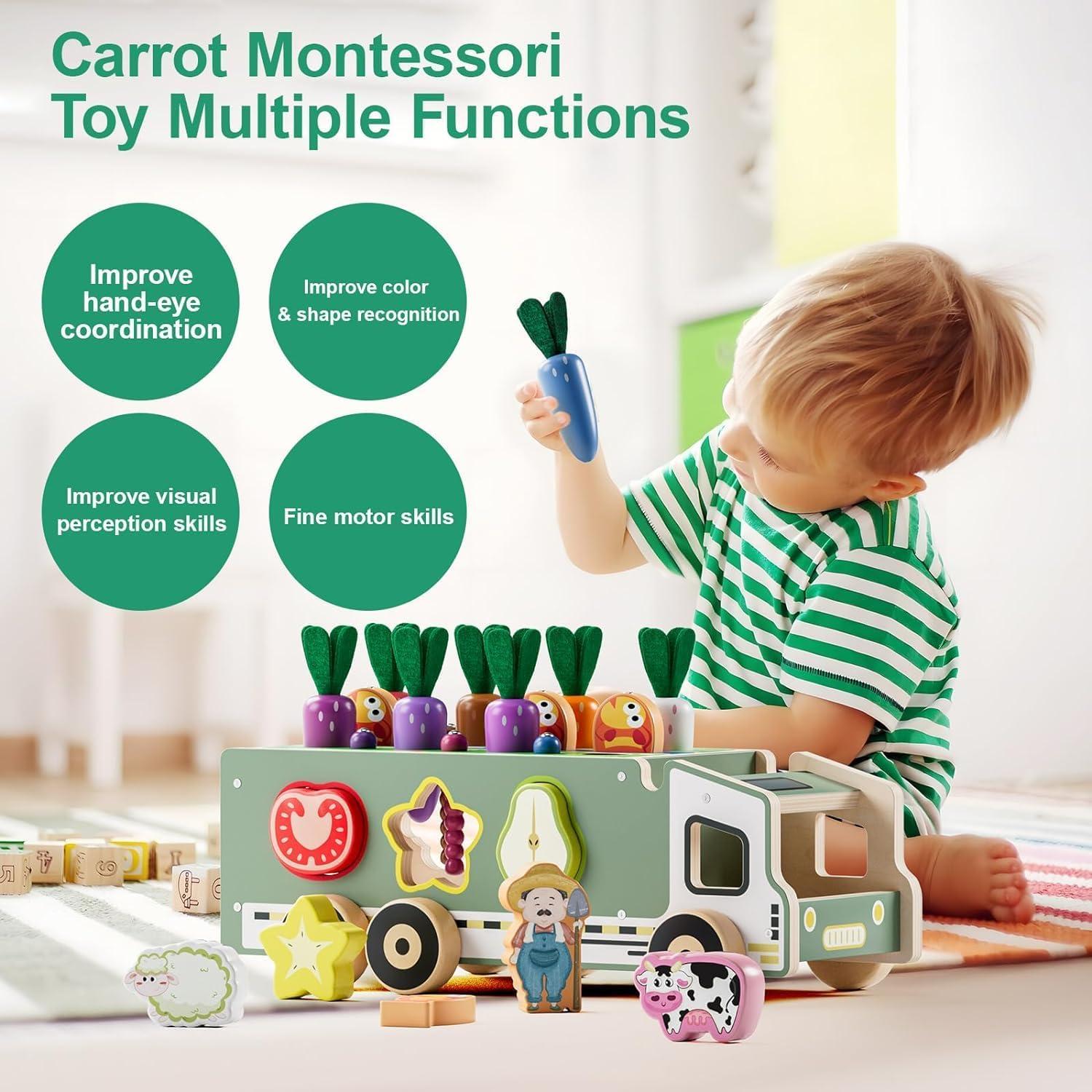 Toddler Educational Montessori Toys for 2 3 4 Years Old Boys and Girls, Carrots Farm Fruit Harvest Game, Color Shape Sorting Toys Gifts for Kids 2-4