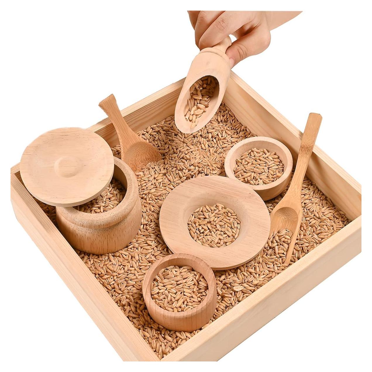 Herramientas Sensoriales Montessori DONMILLS con Bandeja de Madera