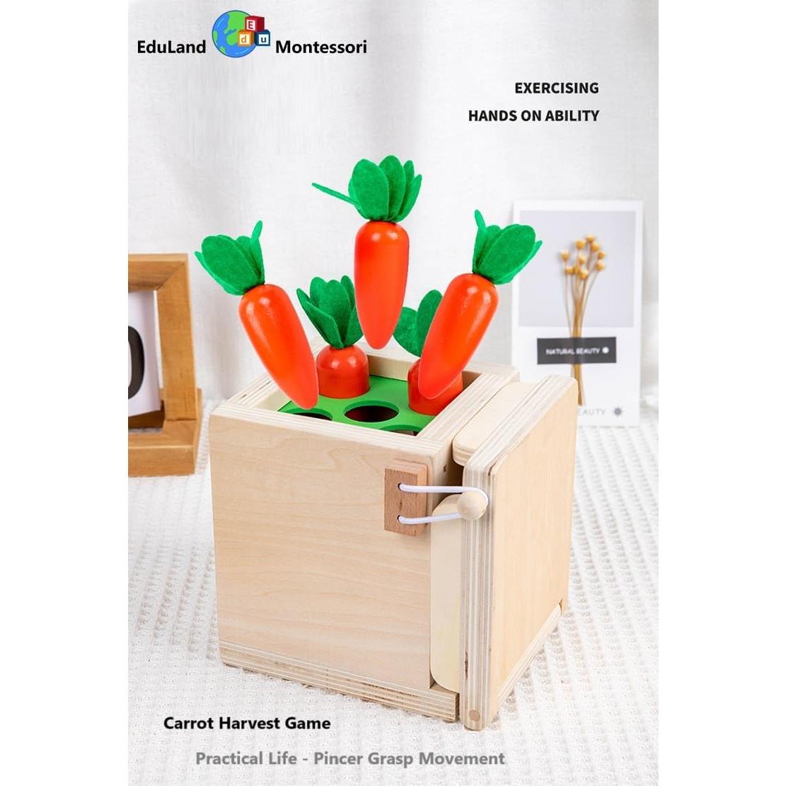 Kit de Bloques de Madera Geométricos EduLand Montessori 4 en 1