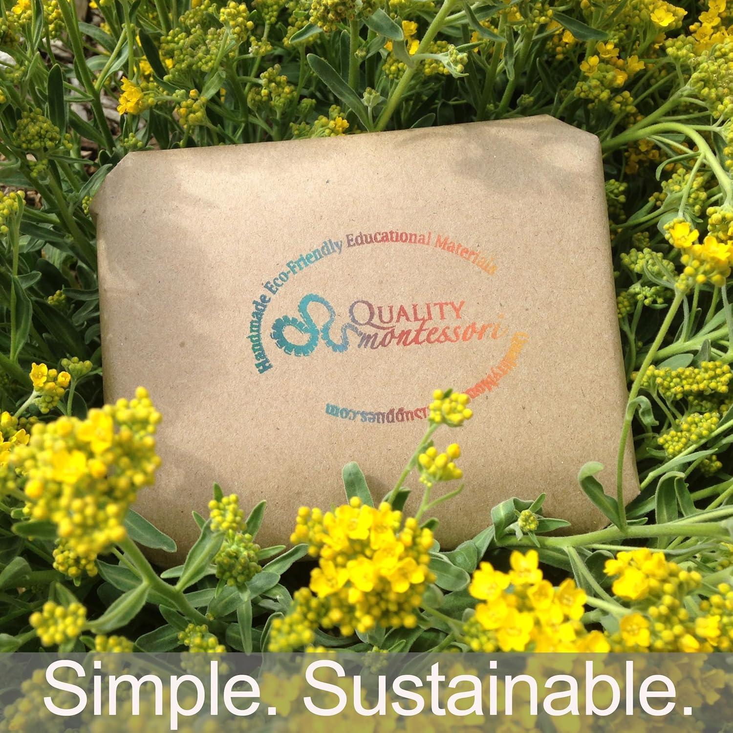 Bloques de Lectura Fonética Quality Montessori - Juguete Educativo