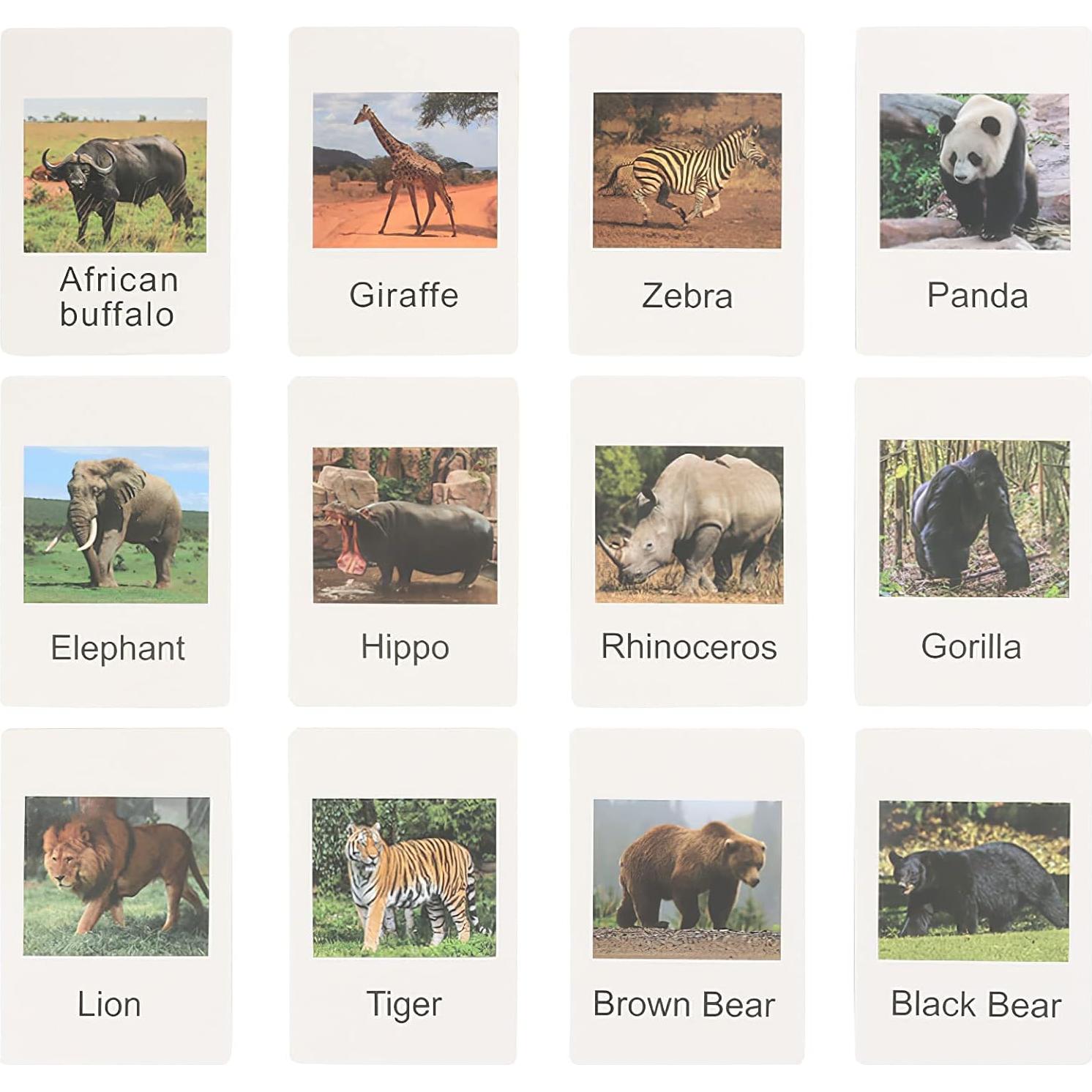 Figuras de Animales Montessori MIKNEKE 12 Piezas Realistas