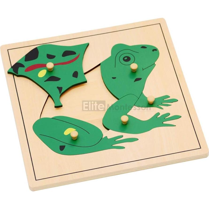 Rompecabezas de Botánica Montessori Elite 24x24 cm