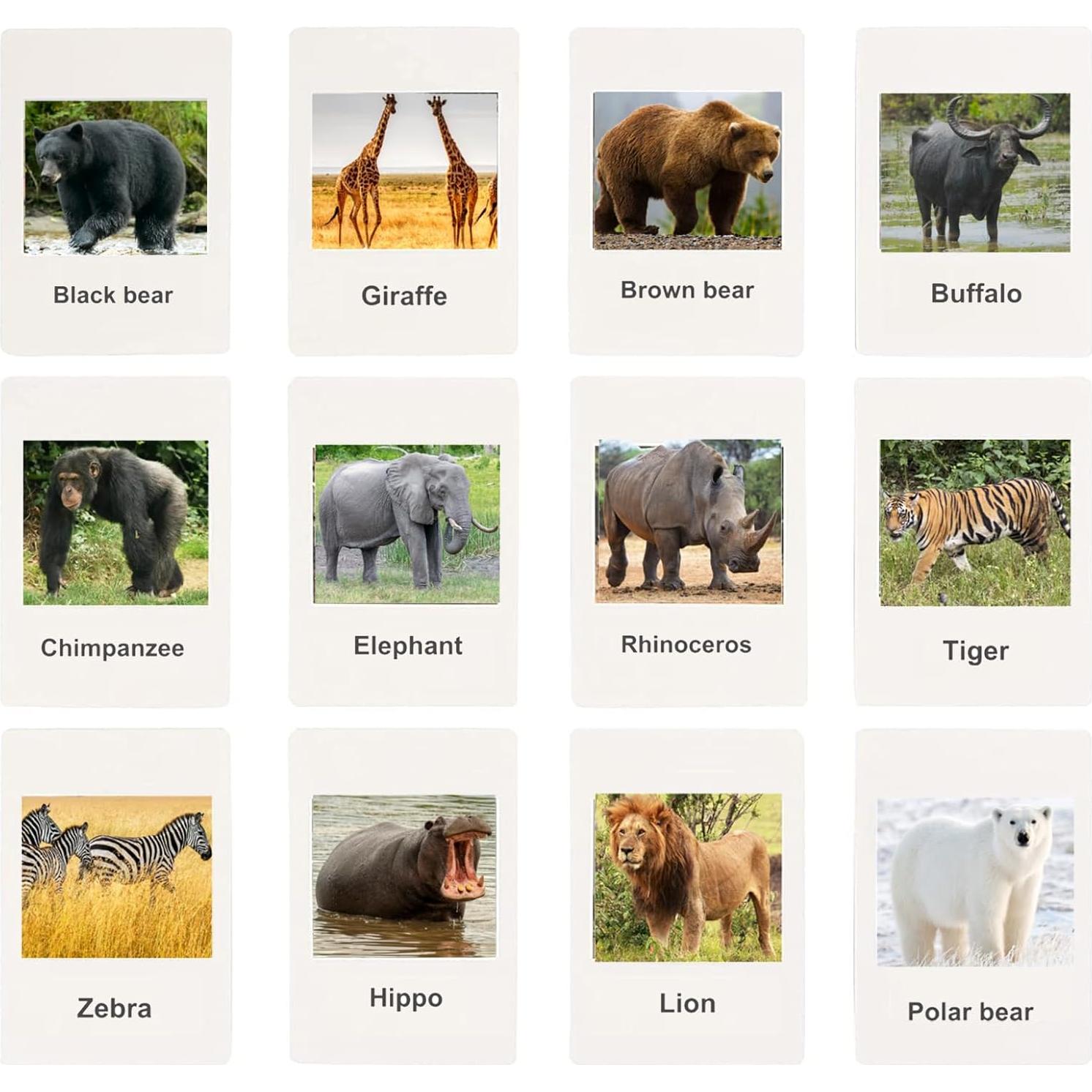 Figuras de Animales de Safari RUSON - 12 Piezas Educativas