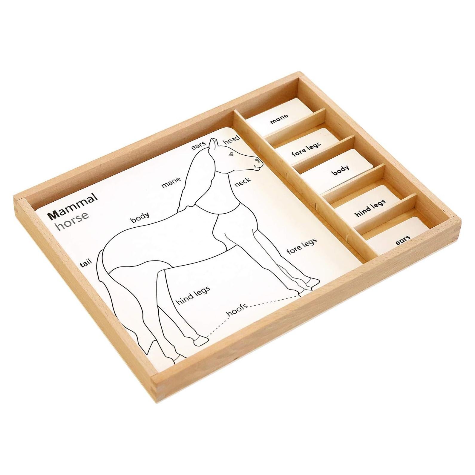 Juego de Rompecabezas de Animales Montessori Outlet 3-6 Años