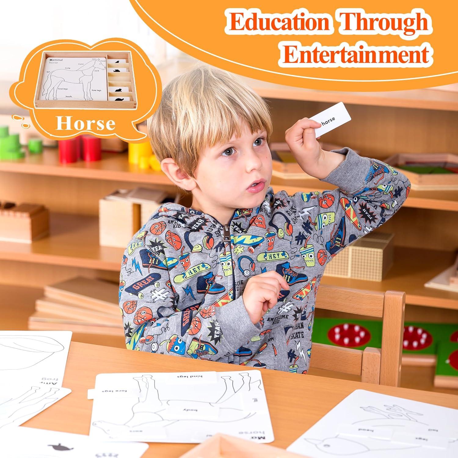 Juego de Rompecabezas de Animales Montessori Outlet 3-6 Años