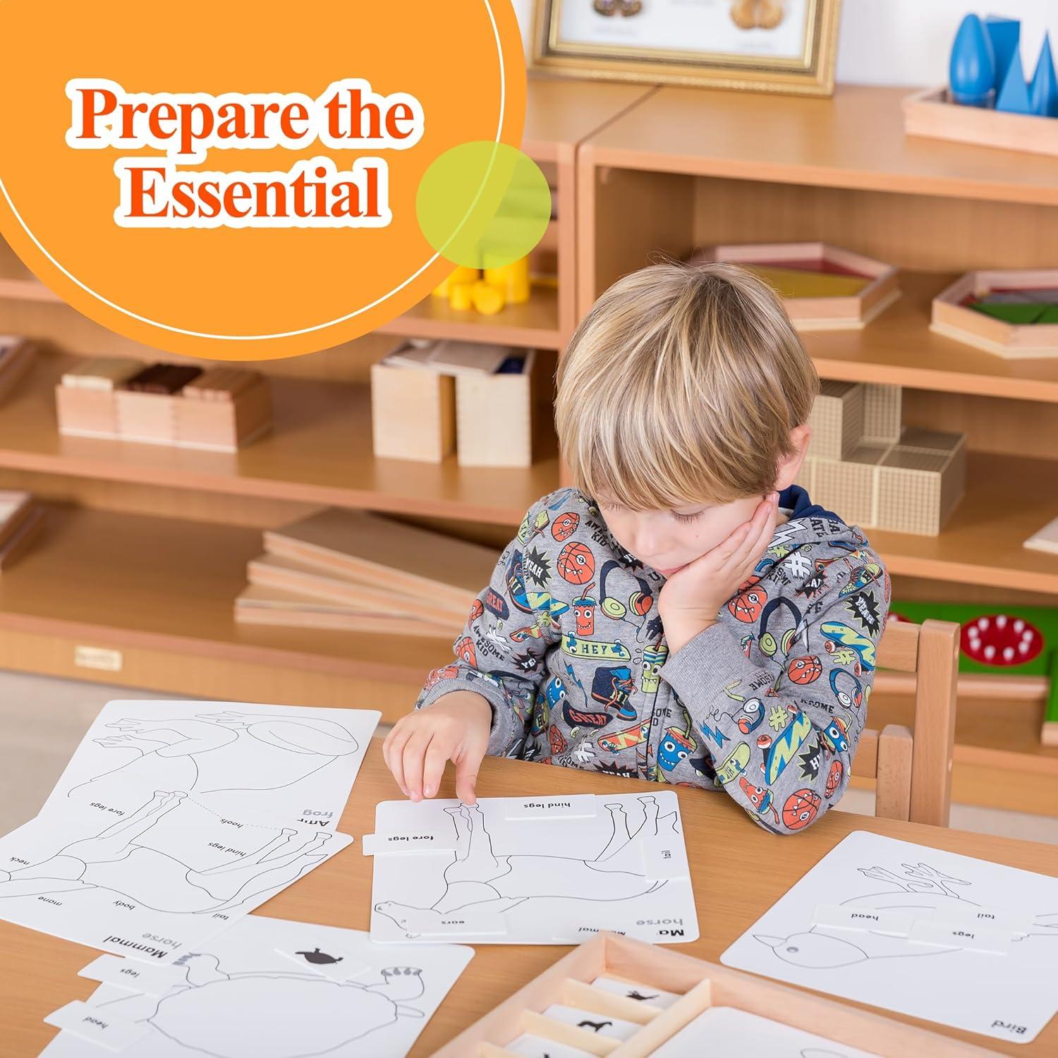 Juego de Rompecabezas de Animales Montessori Outlet 3-6 Años