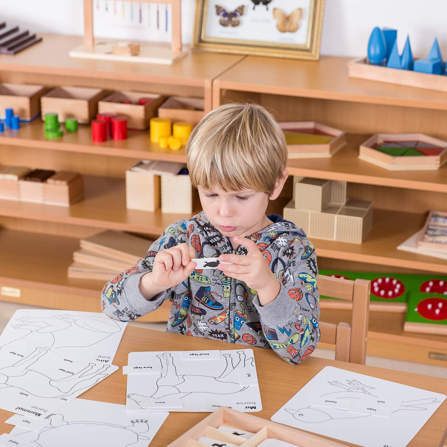 Juego de Rompecabezas de Animales Montessori Outlet 3-6 Años