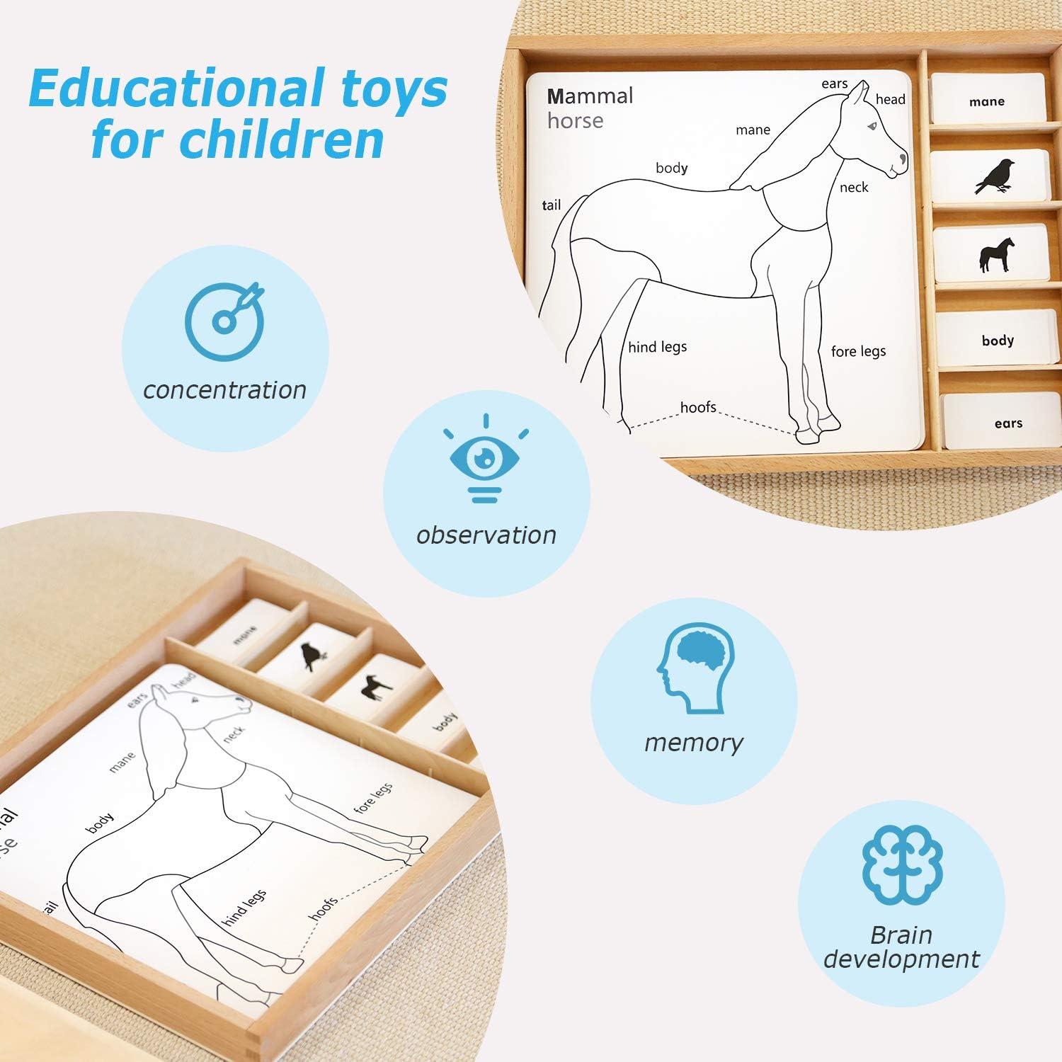 Juego de Rompecabezas de Animales Montessori Outlet 3-6 Años