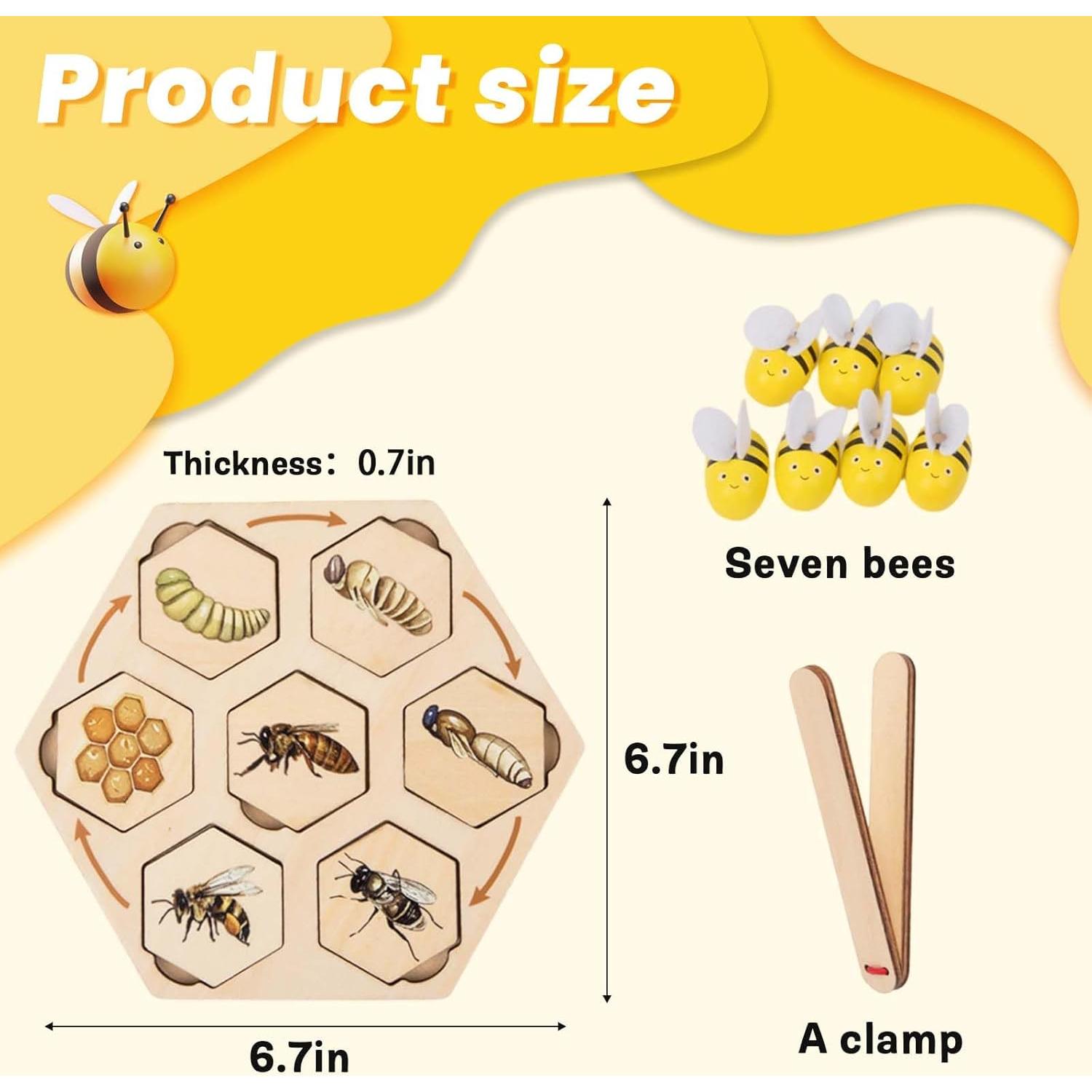 Rompecabezas de ciclo de vida de abeja Adena Montessori 17x17 cm