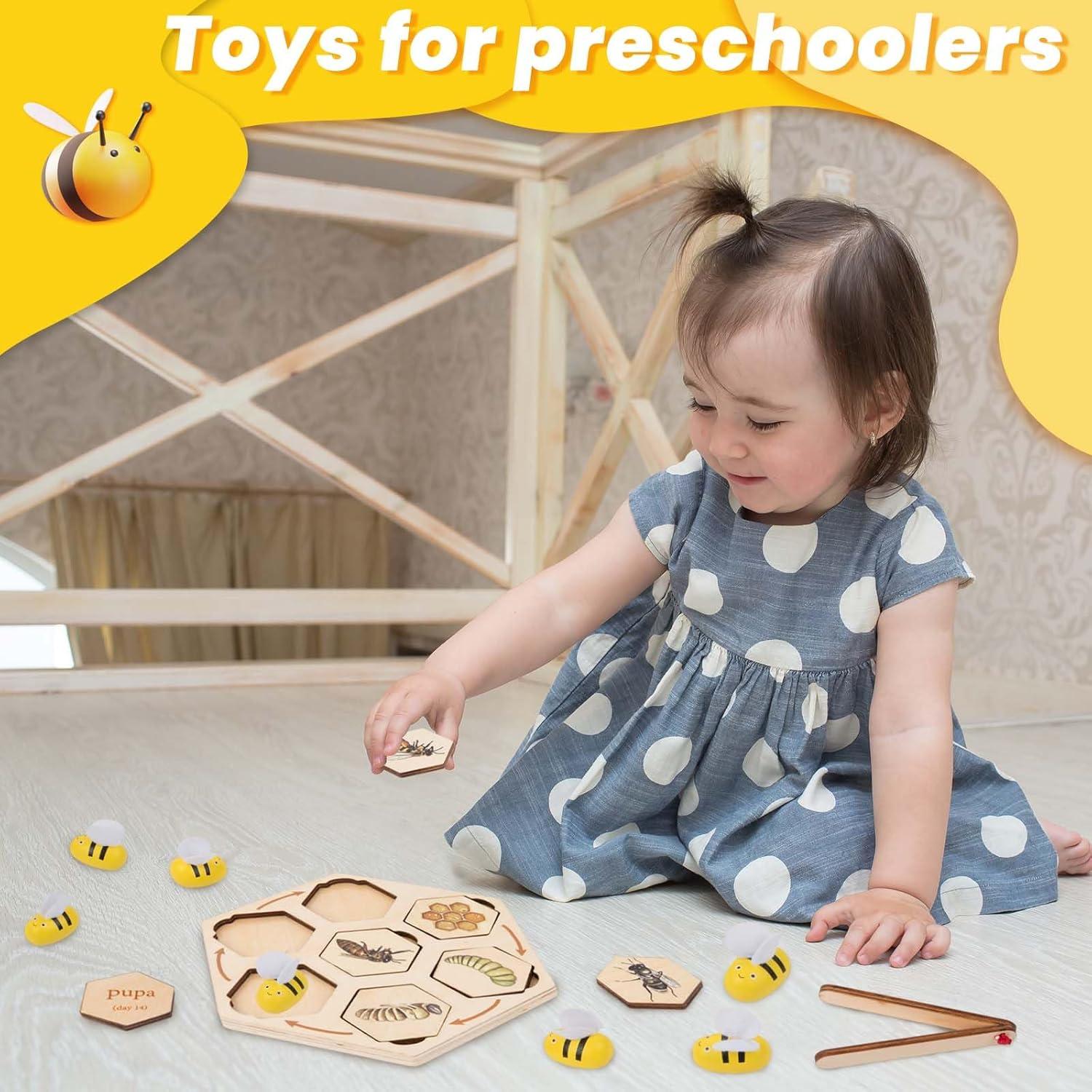 Rompecabezas de ciclo de vida de abeja Adena Montessori 17x17 cm