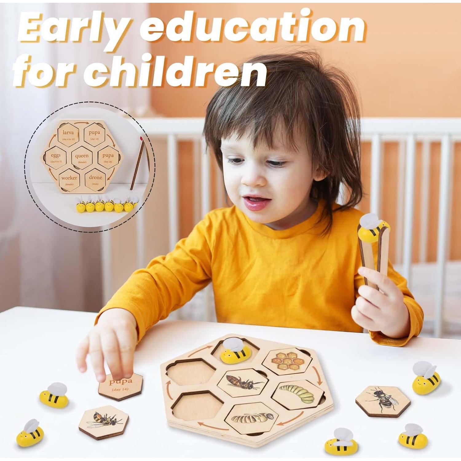 Rompecabezas de ciclo de vida de abeja Adena Montessori 17x17 cm