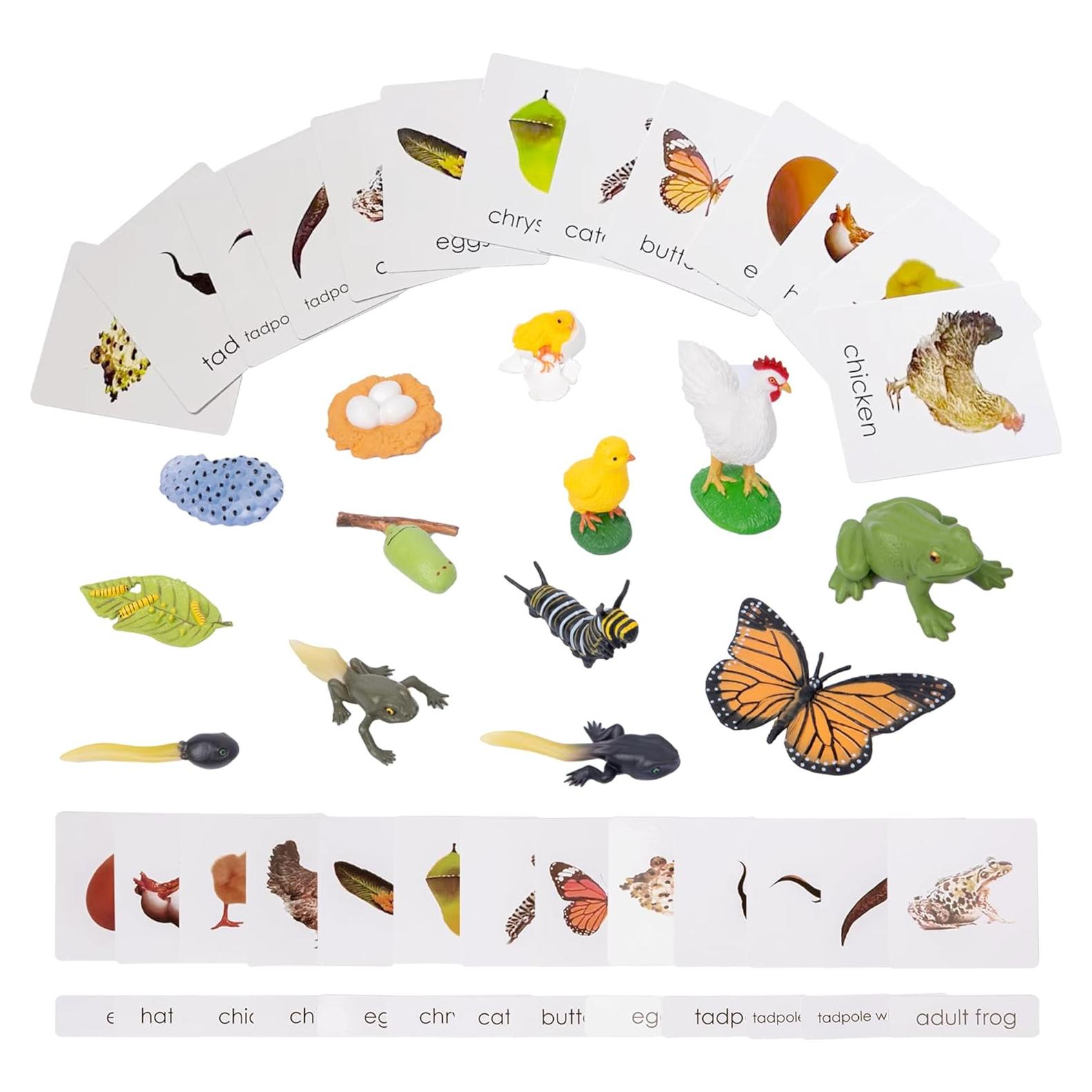 Kit Ciclo de Vida Montessori 13 Piezas Animales Plástico