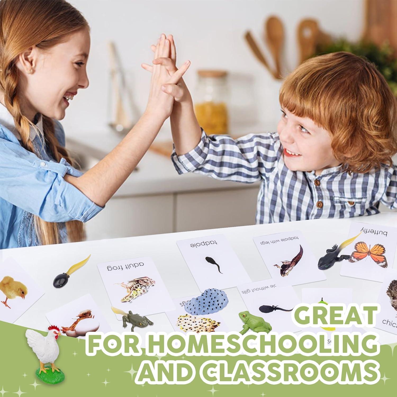 Kit Ciclo de Vida Montessori 13 Piezas Animales Plástico