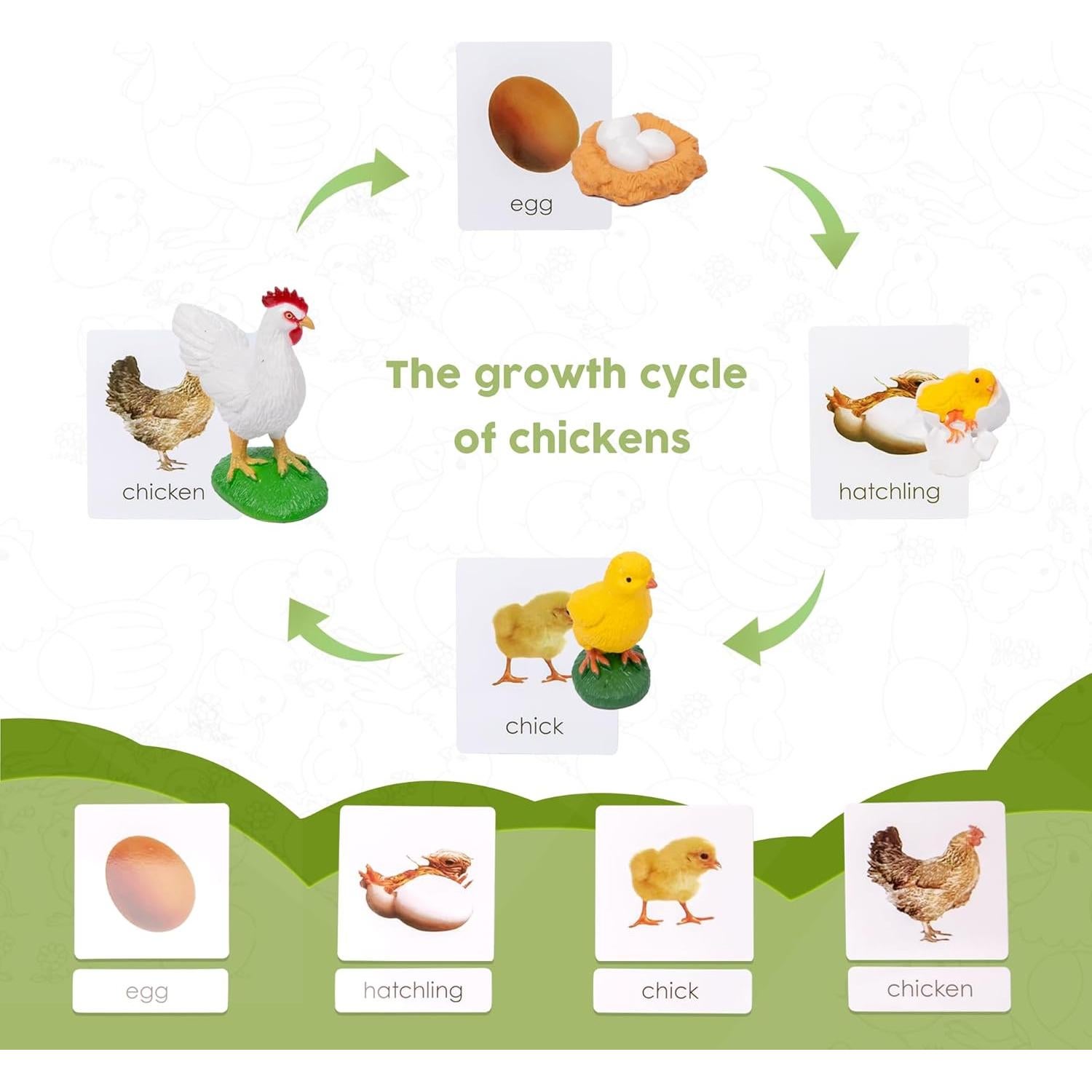 Kit Ciclo de Vida Montessori 13 Piezas Animales Plástico