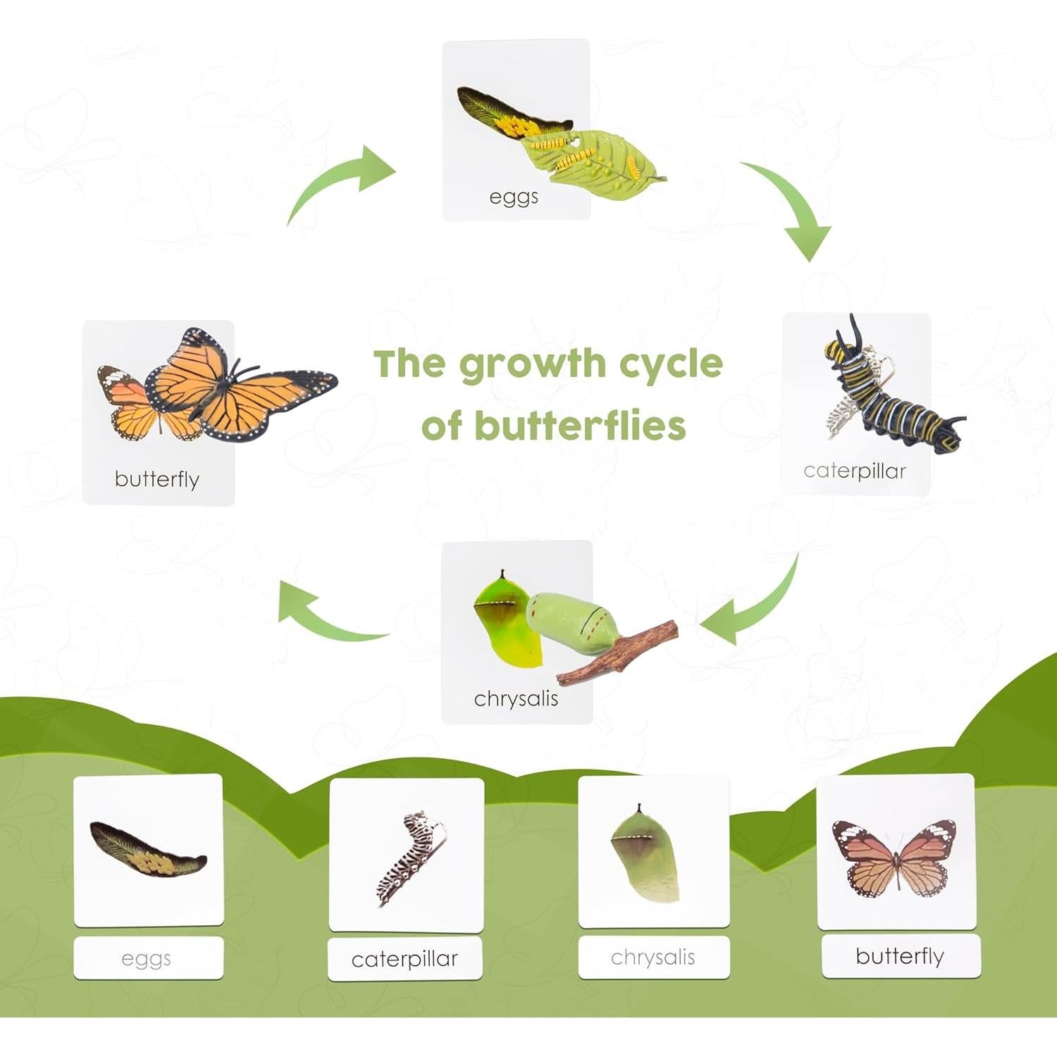 Kit Ciclo de Vida Montessori 13 Piezas Animales Plástico