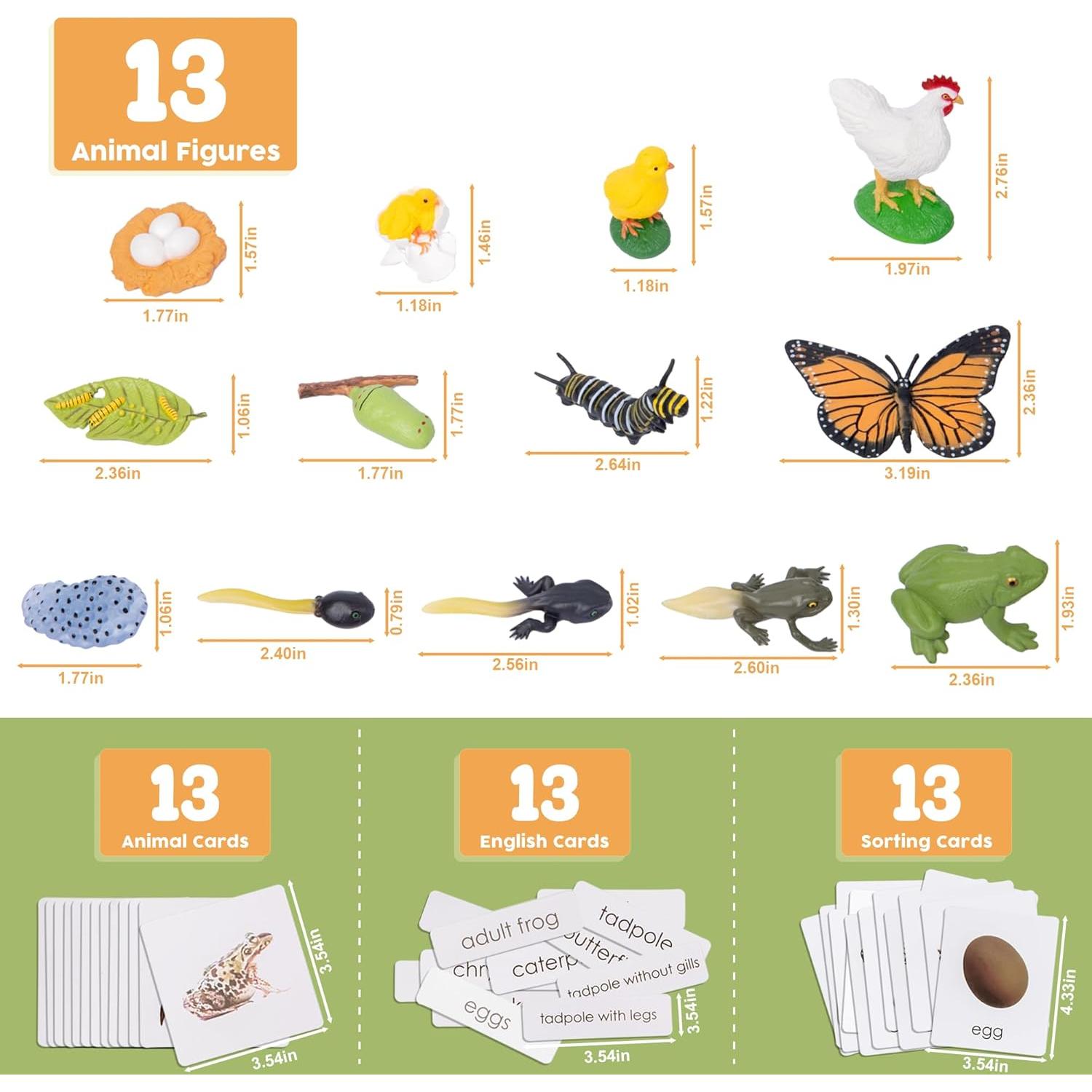 Kit Ciclo de Vida Montessori 13 Piezas Animales Plástico