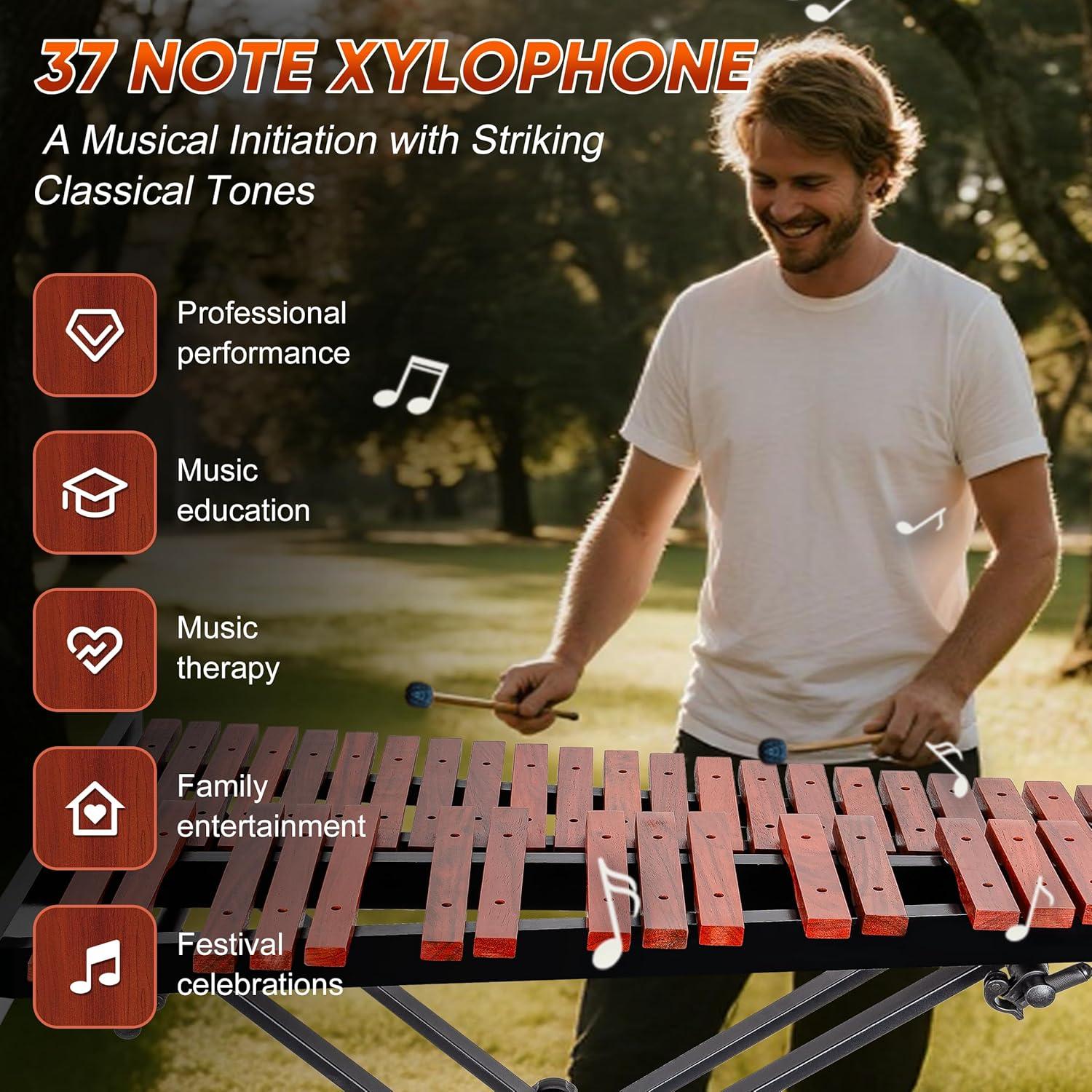 Xilófono Profesional LyricLight 37 Notas de Madera con Soporte