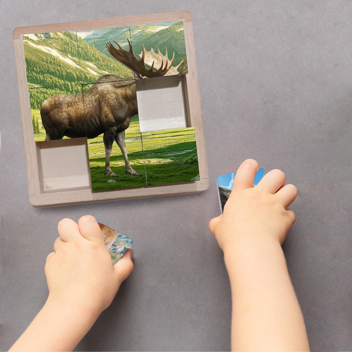 Rompecabezas de Madera Montessori Animales Nativos 6 en 1