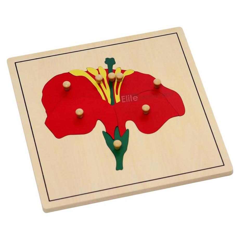 Rompecabezas de Botánica Elite Montessori 24x24 cm para Niños