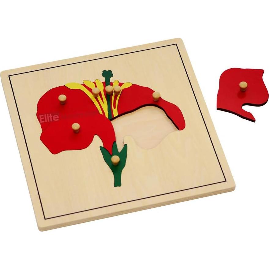 Rompecabezas de Botánica Elite Montessori 24x24 cm para Niños