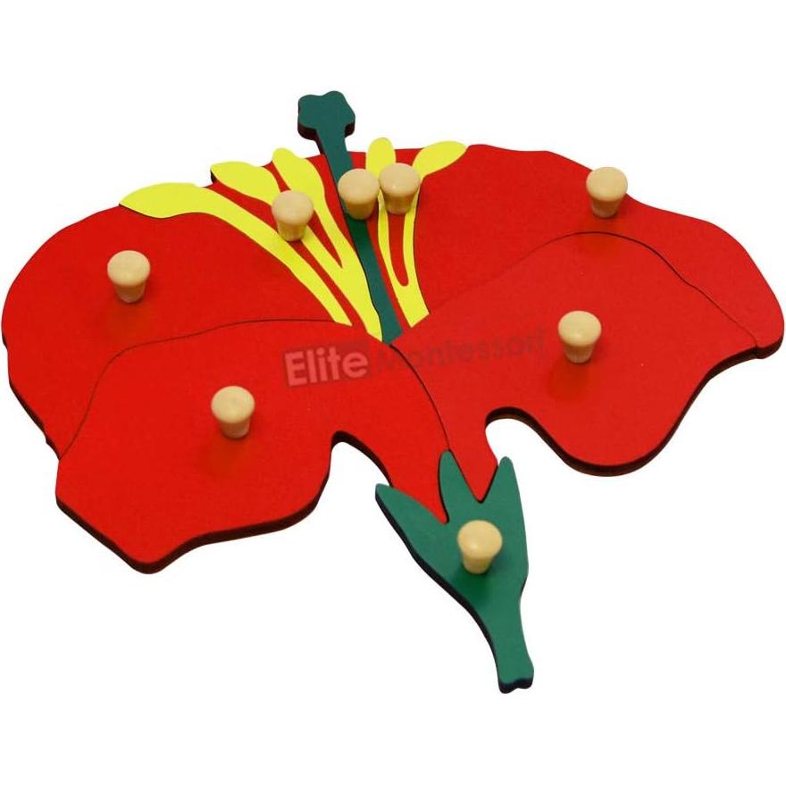 Rompecabezas de Botánica Elite Montessori 24x24 cm para Niños