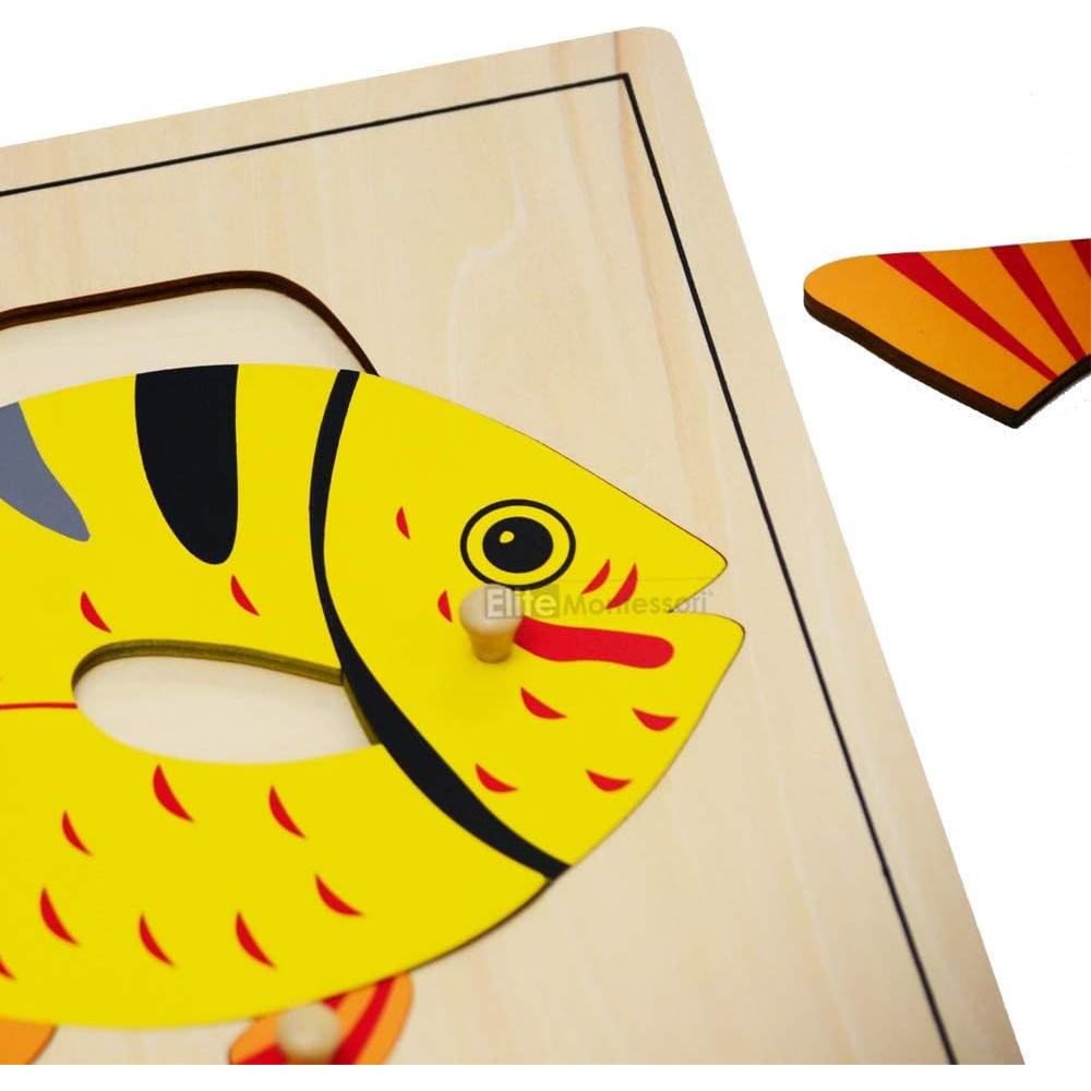 Rompecabezas de Pescado Montessori Elite 24x24 cm para Niños