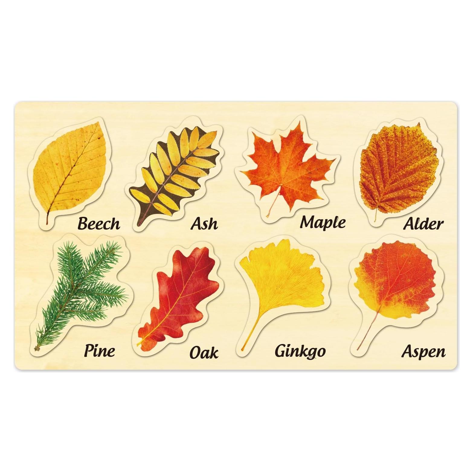 Rompecabezas de Madera MoinKidz Hoja de Otoño 33x20cm