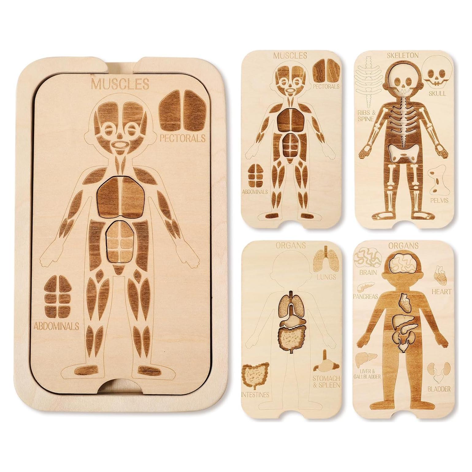 Rompecabezas de Madera del Cuerpo Humano 18 Piezas - Juguete Educativo