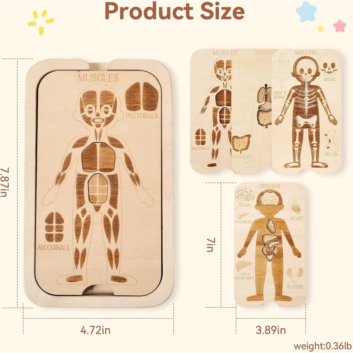 Rompecabezas de Madera del Cuerpo Humano 18 Piezas - Juguete Educativo