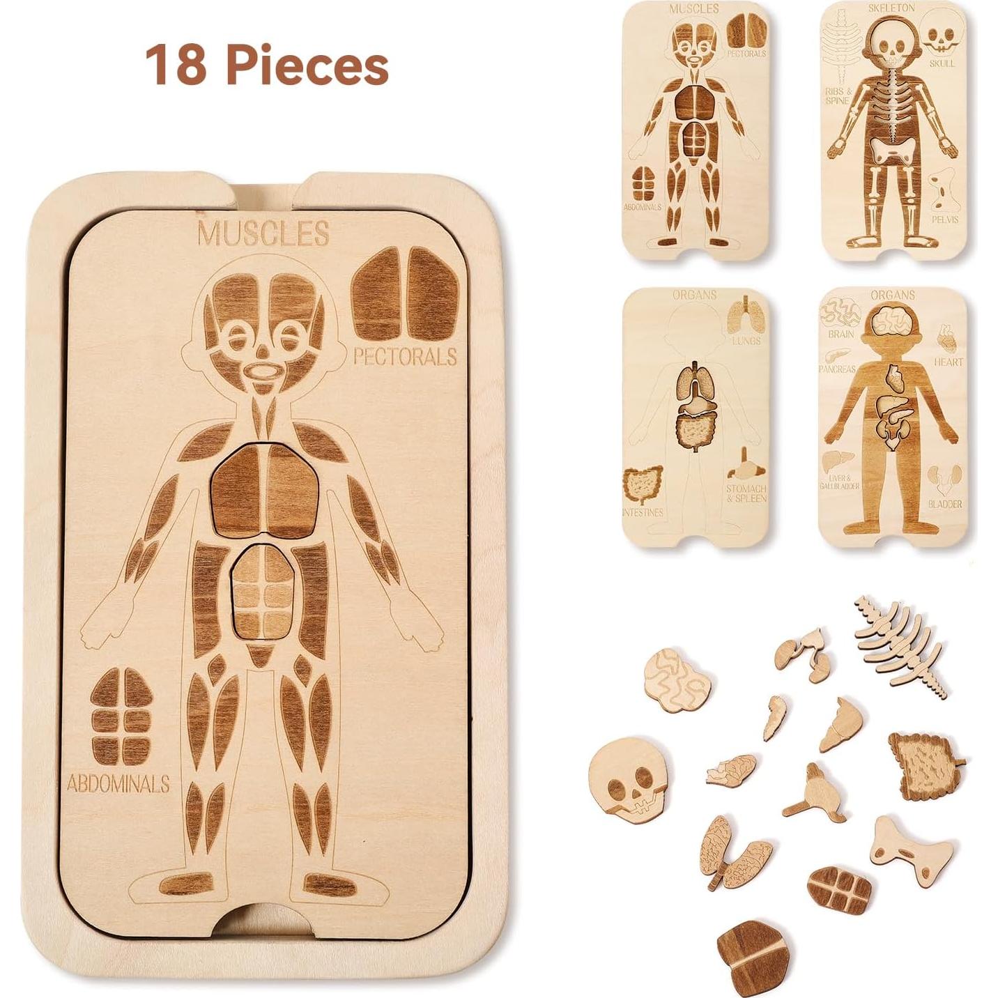 Rompecabezas de Madera del Cuerpo Humano 18 Piezas - Juguete Educativo