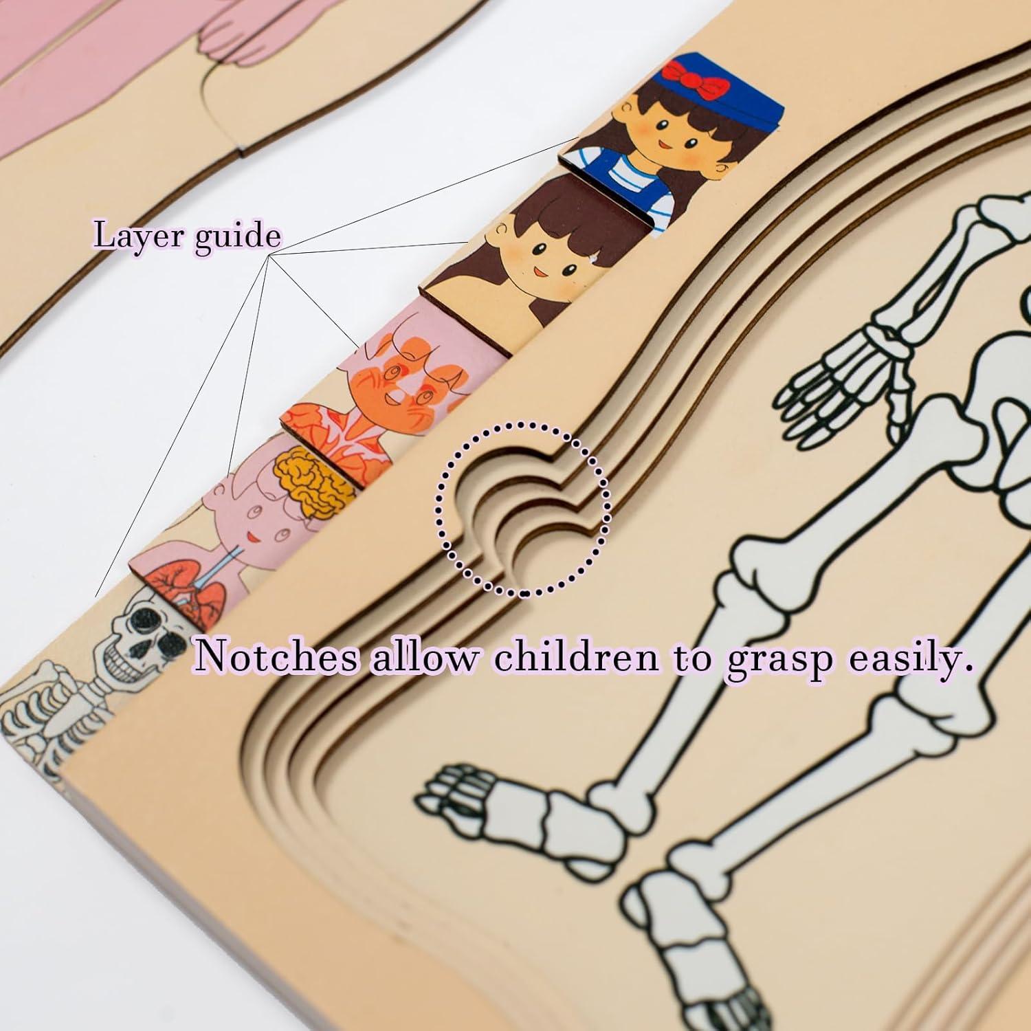 Rompecabezas de Partes del Cuerpo de Madera para Niños 3-8 Años
