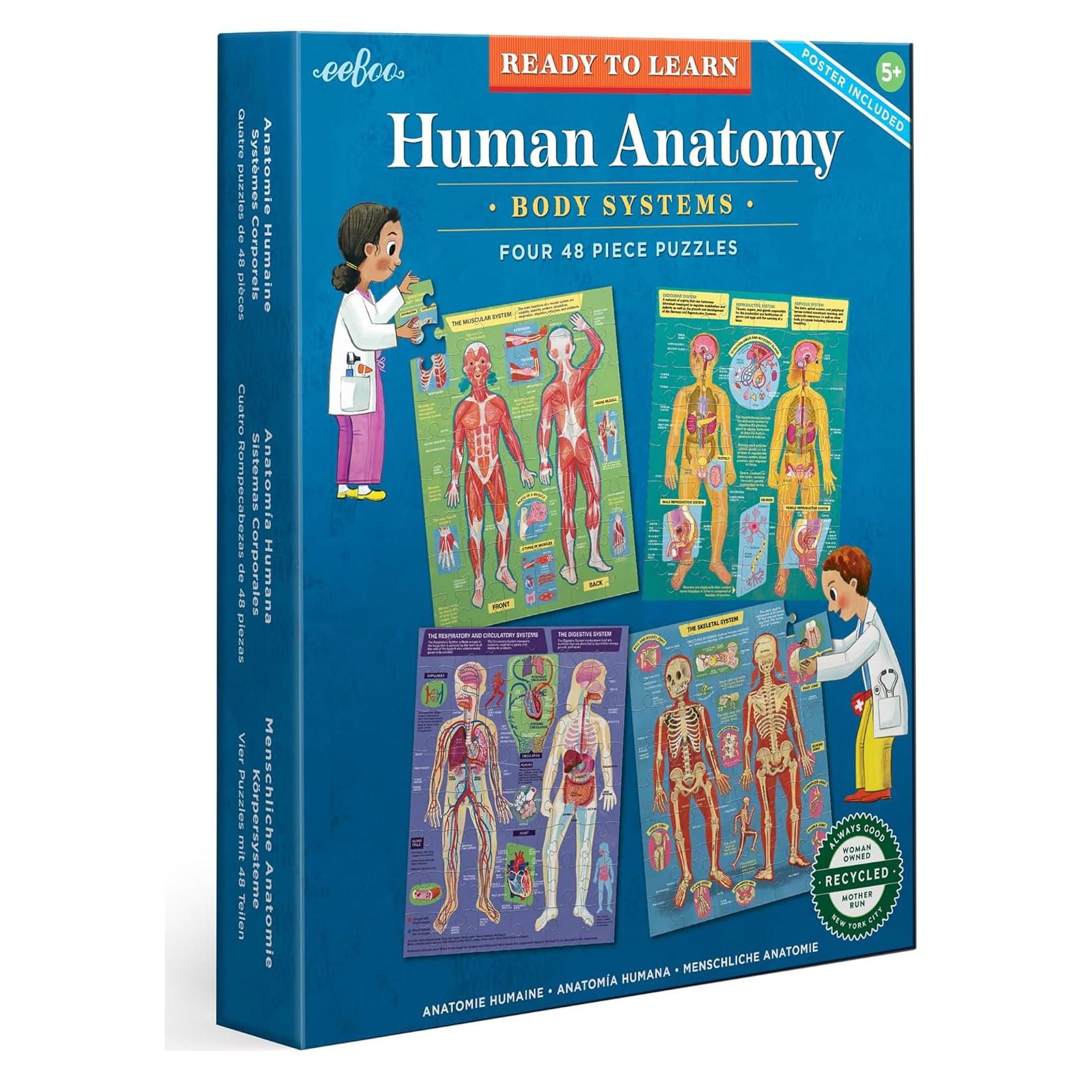 Rompecabezas Educativos Anatomía Humana eeBoo - 4 Puzzles 48 Piezas