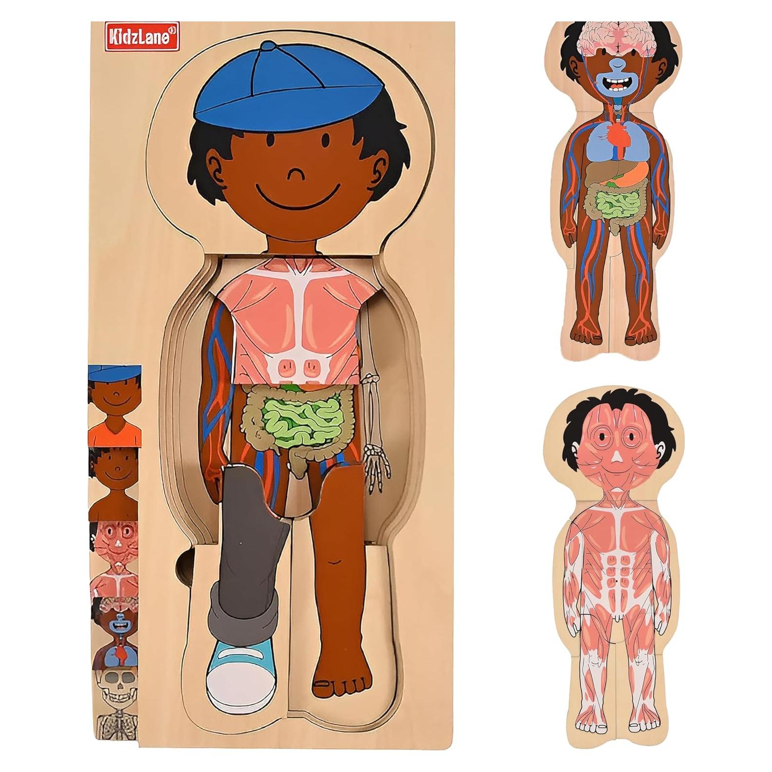 Rompecabezas de Madera Kidzlane Cuerpo Humano 29 Piezas