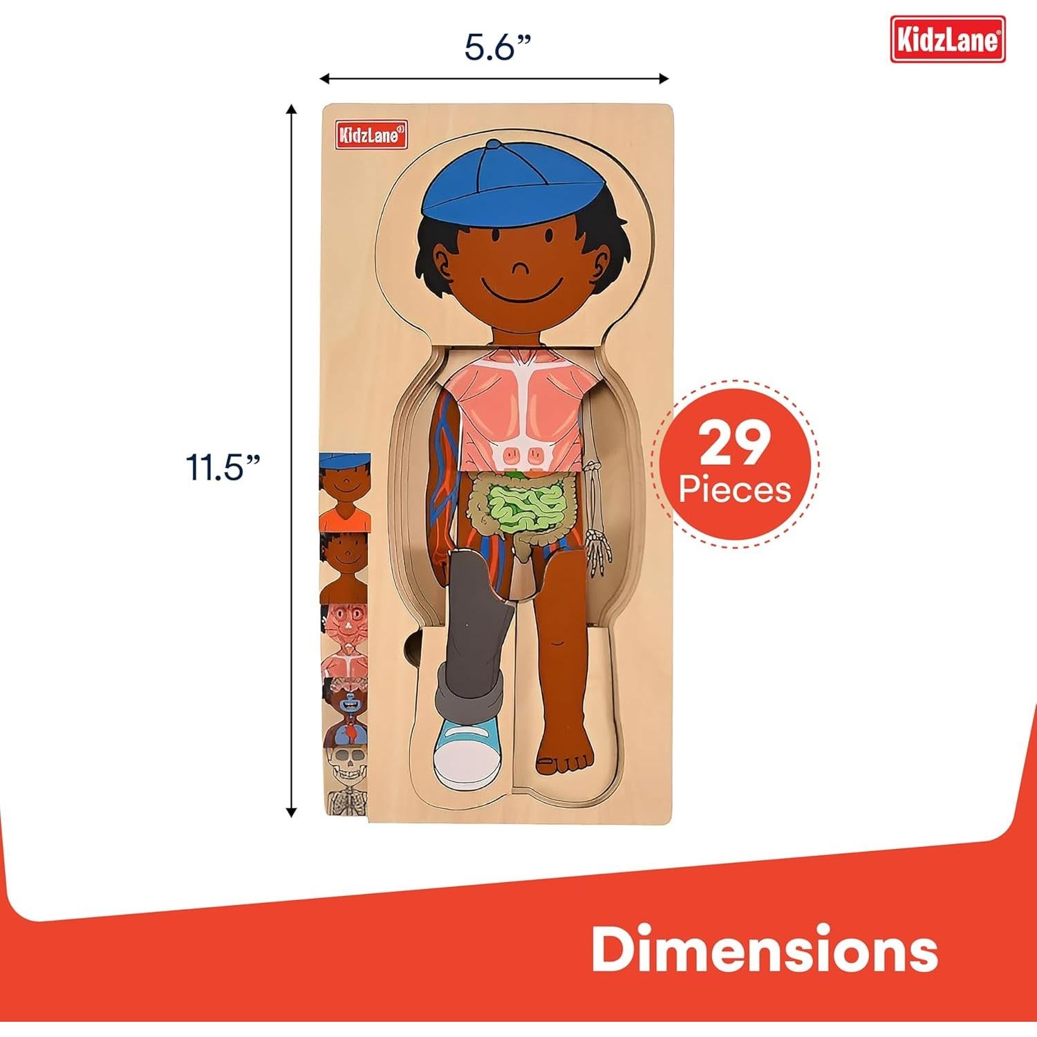 Rompecabezas de Madera Kidzlane Cuerpo Humano 29 Piezas