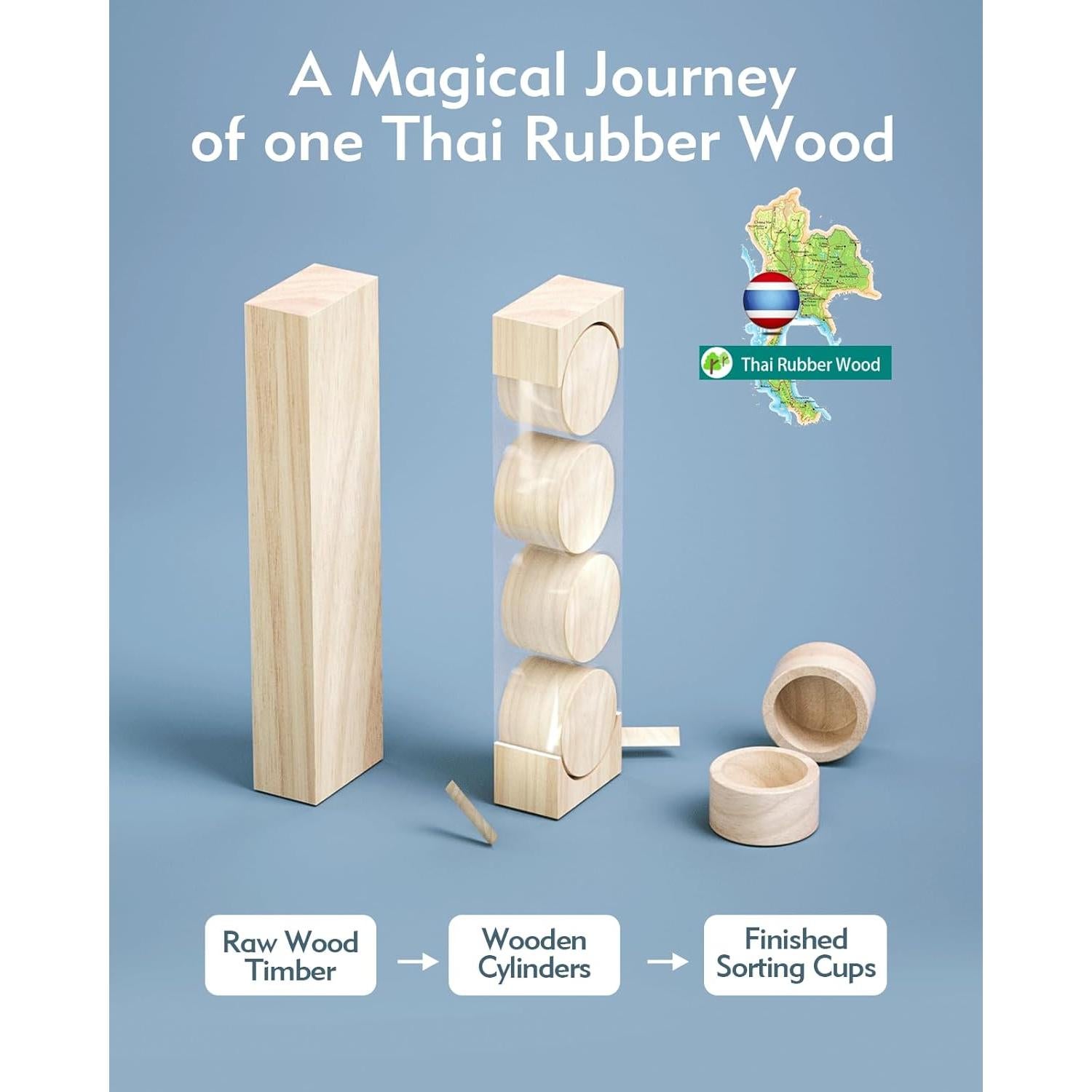 Juguete Montessori Boby 2-en-1 Clasificación y Pesca Madera