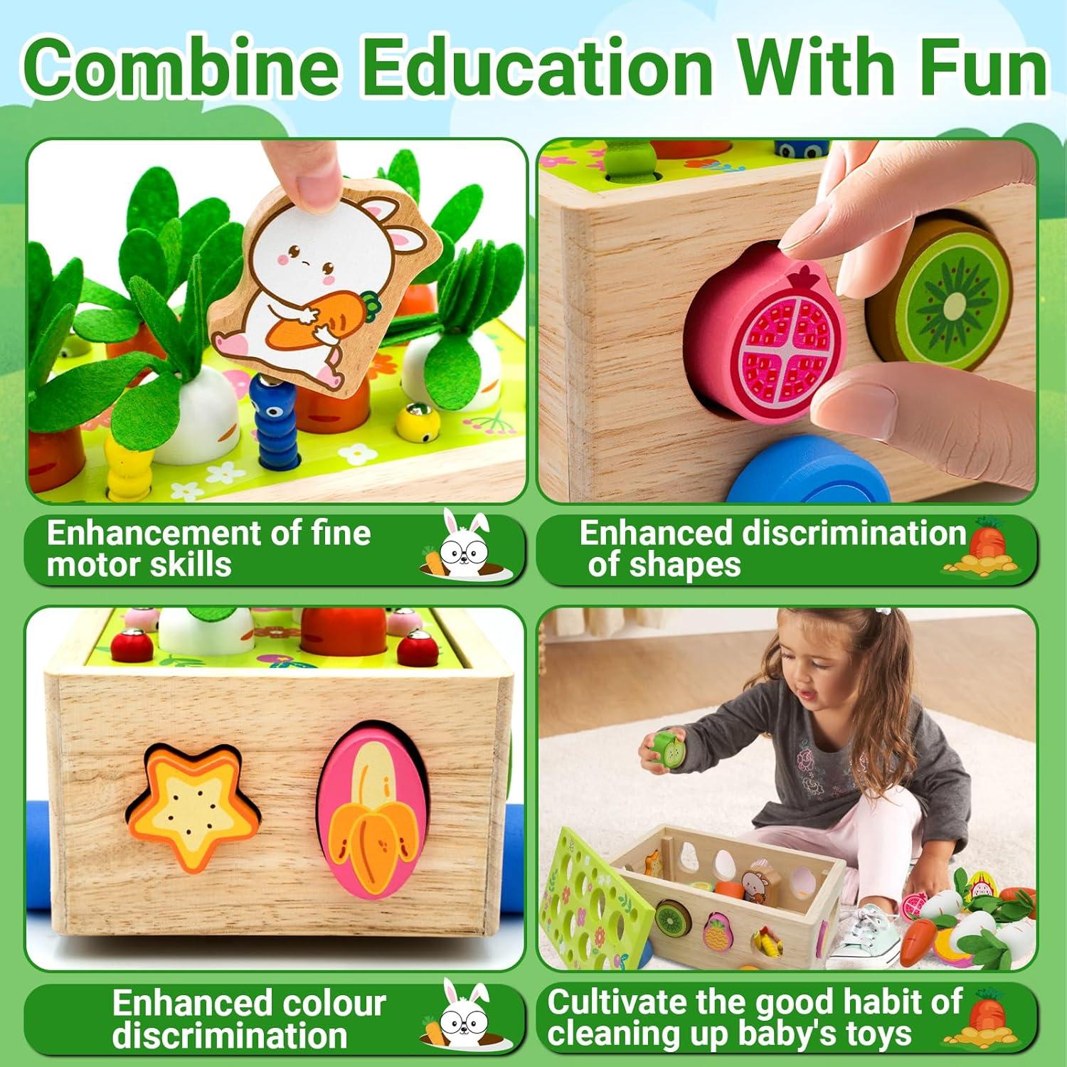 Clasificador de Formas de Madera Montessori MEGRANATE 24x17cm