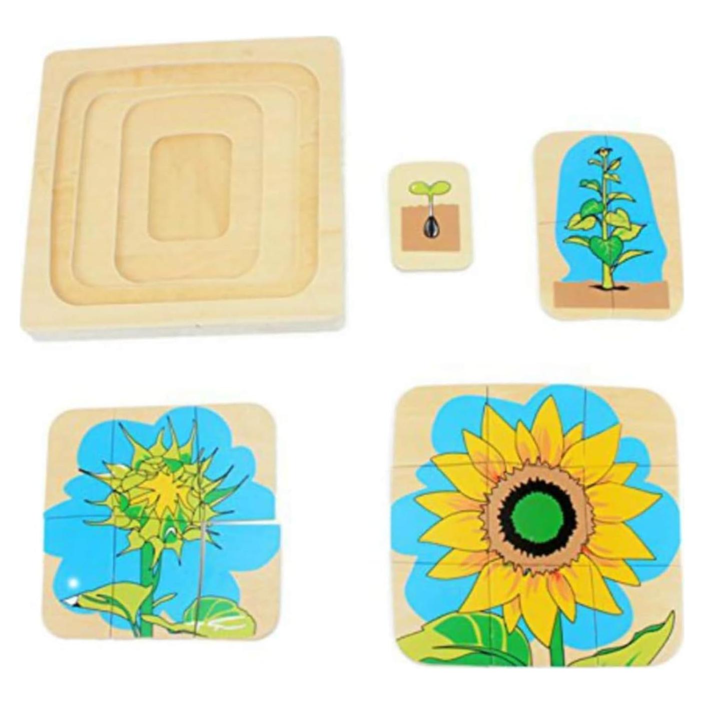 Juguete Educativo de Madera Gudong Ciclo de Vida Girasol