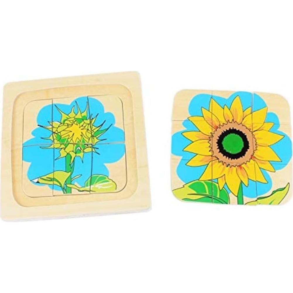 Juguete Educativo de Madera Gudong Ciclo de Vida Girasol