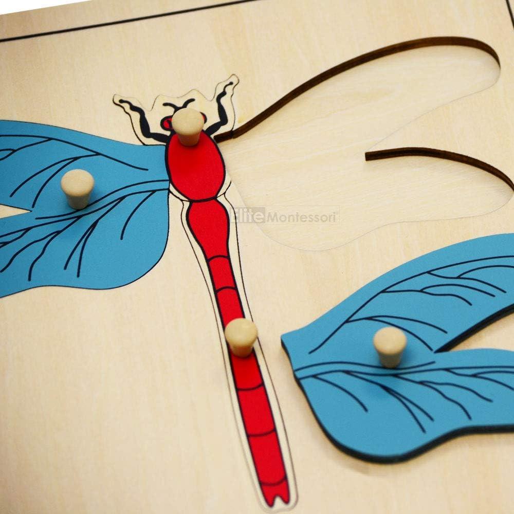 Rompecabezas de Botánica Montessori Elite 24x24 cm