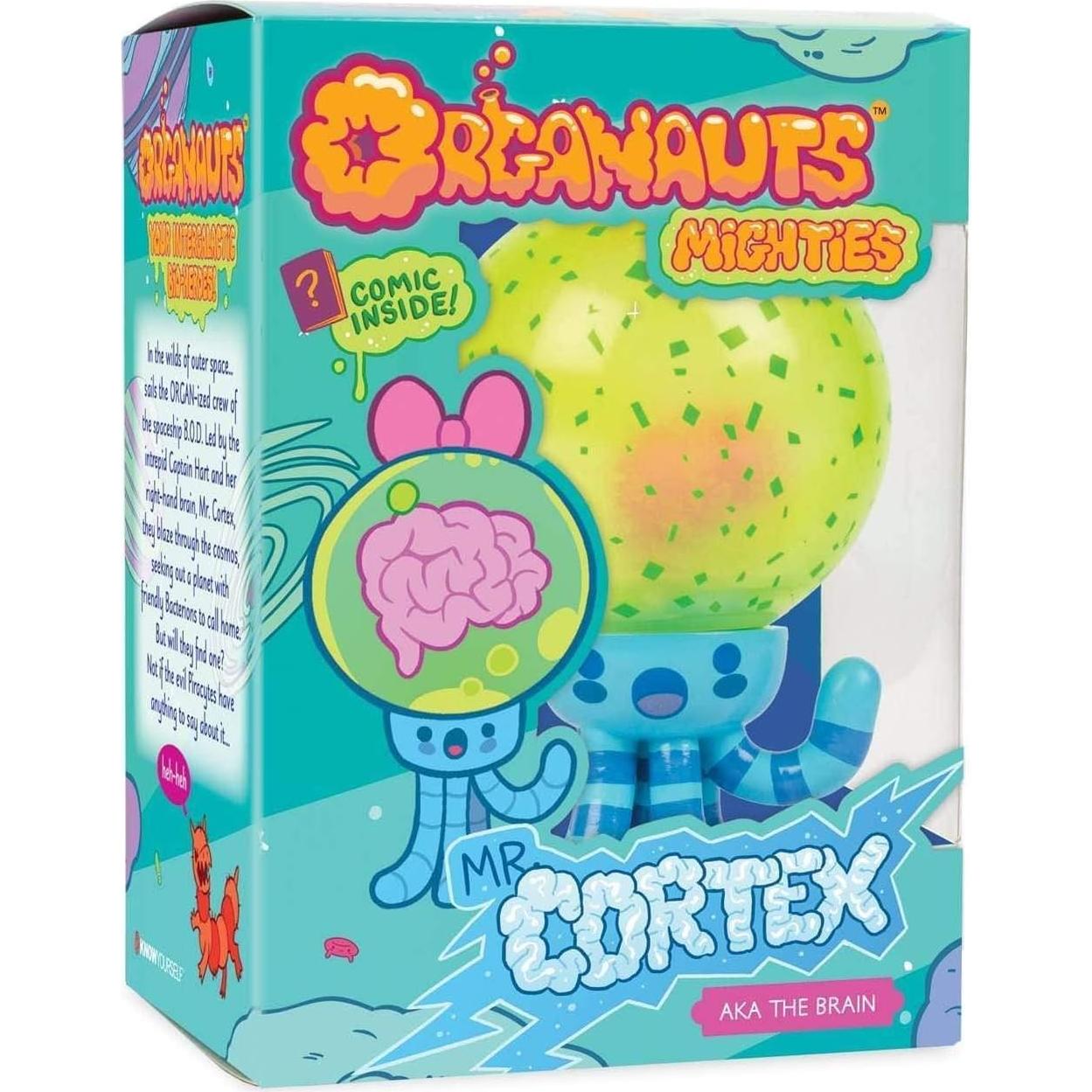 Juguete de Aprendizaje Anatomía Sr. Corteza - Organautas