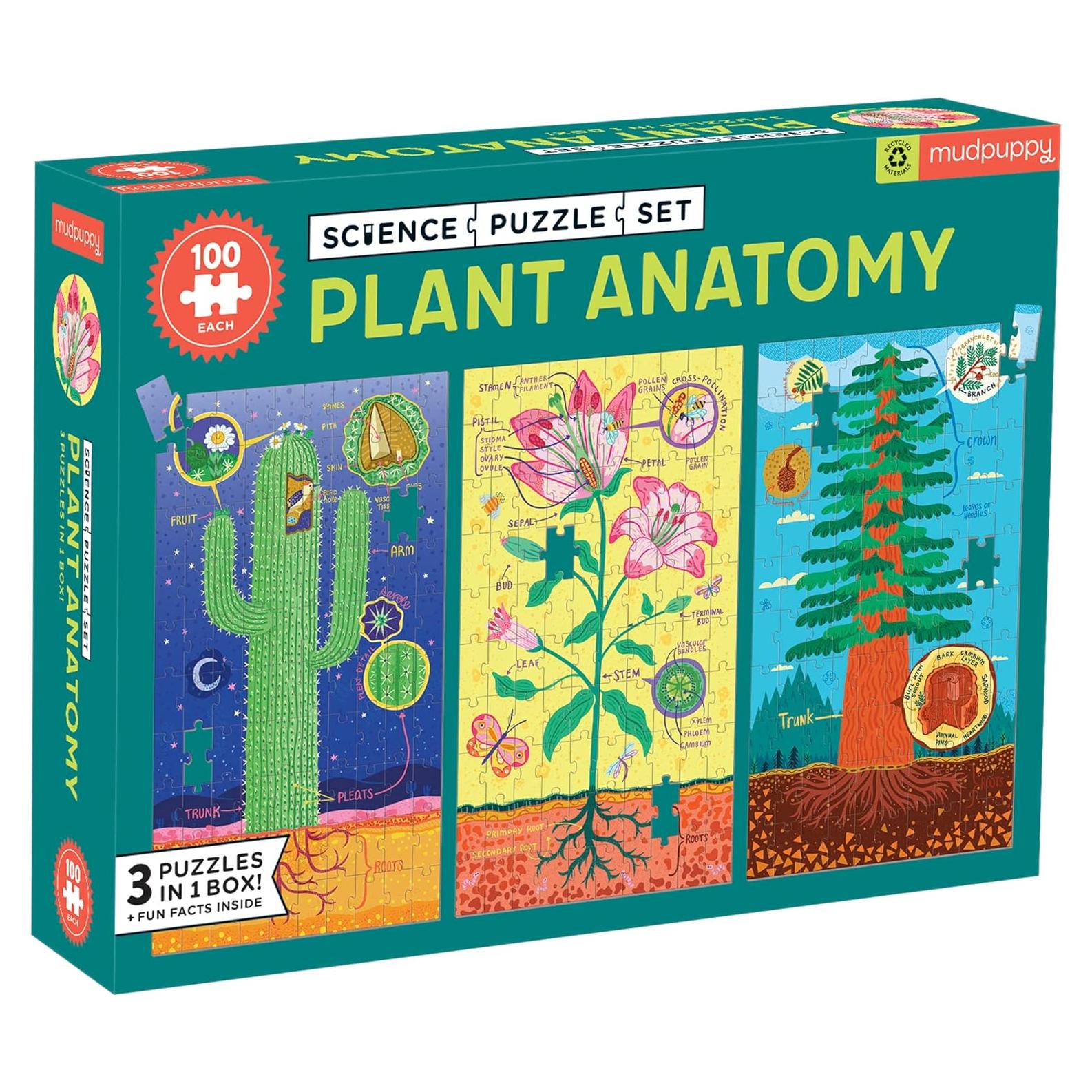 Juego de Rompecabezas de Anatomía de Plantas Mudpuppy 3x100 Piezas