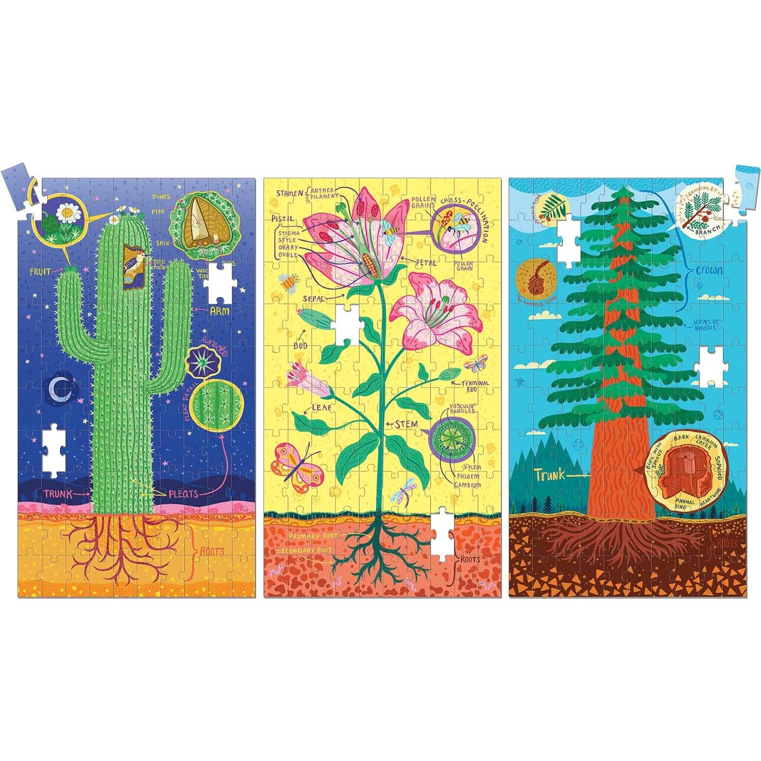 Juego de Rompecabezas de Anatomía de Plantas Mudpuppy 3x100 Piezas