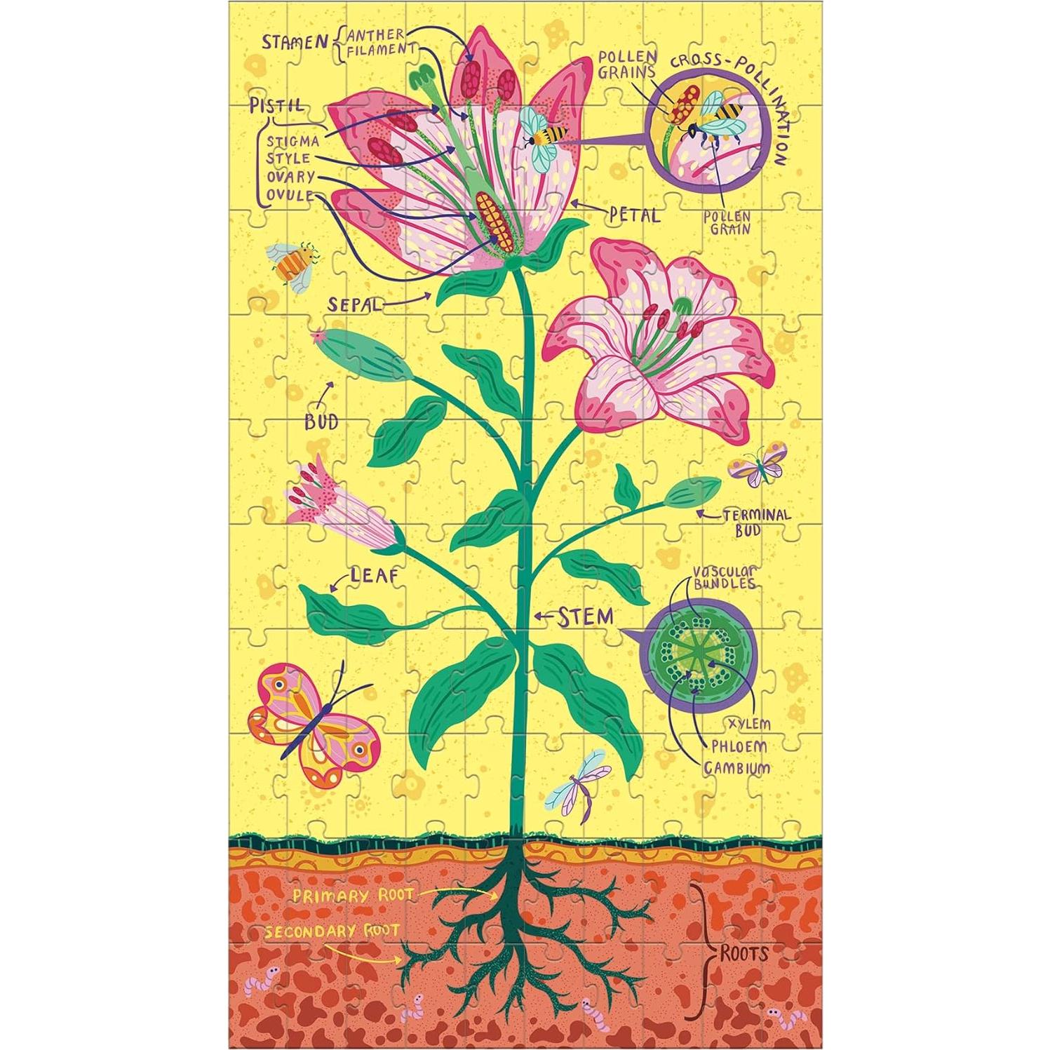 Juego de Rompecabezas de Anatomía de Plantas Mudpuppy 3x100 Piezas