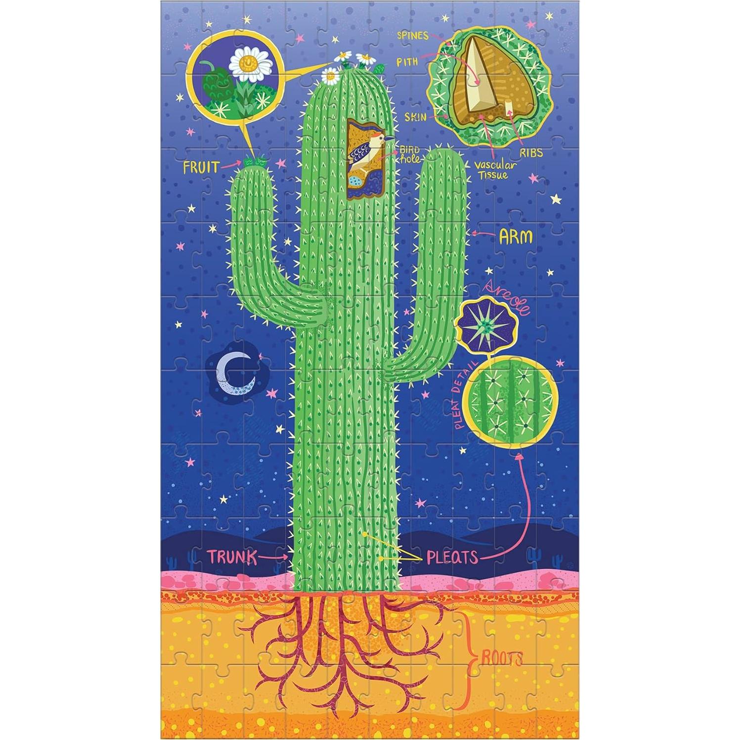 Juego de Rompecabezas de Anatomía de Plantas Mudpuppy 3x100 Piezas