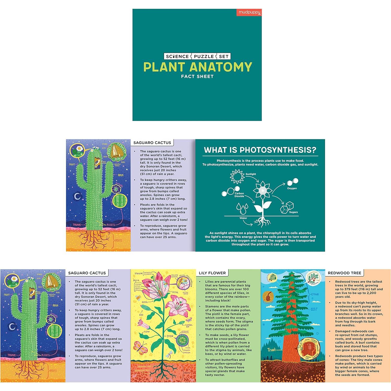 Juego de Rompecabezas de Anatomía de Plantas Mudpuppy 3x100 Piezas