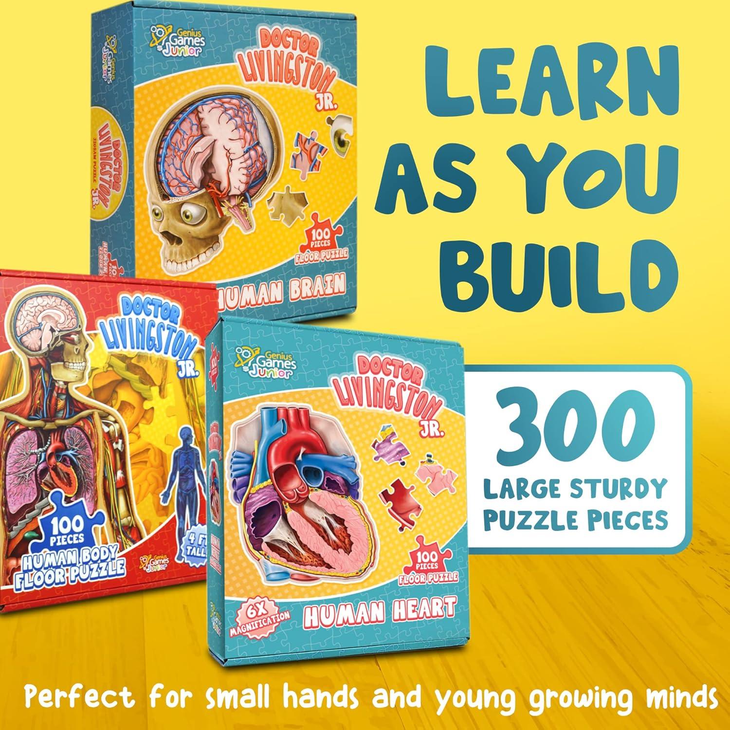 Rompecabezas de Anatomía Humana Genius Games 100 Piezas