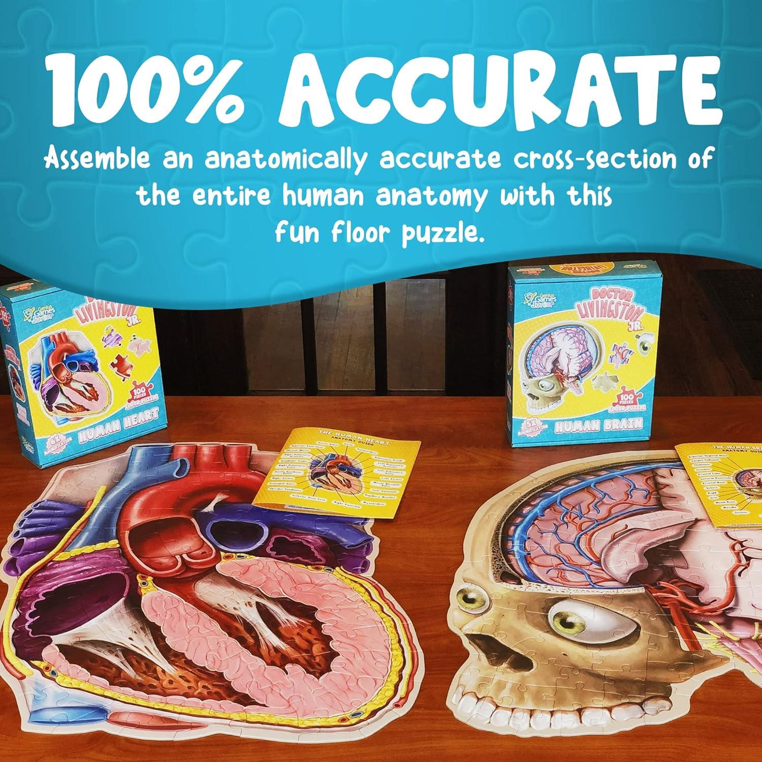 Rompecabezas de Anatomía Humana Genius Games 100 Piezas