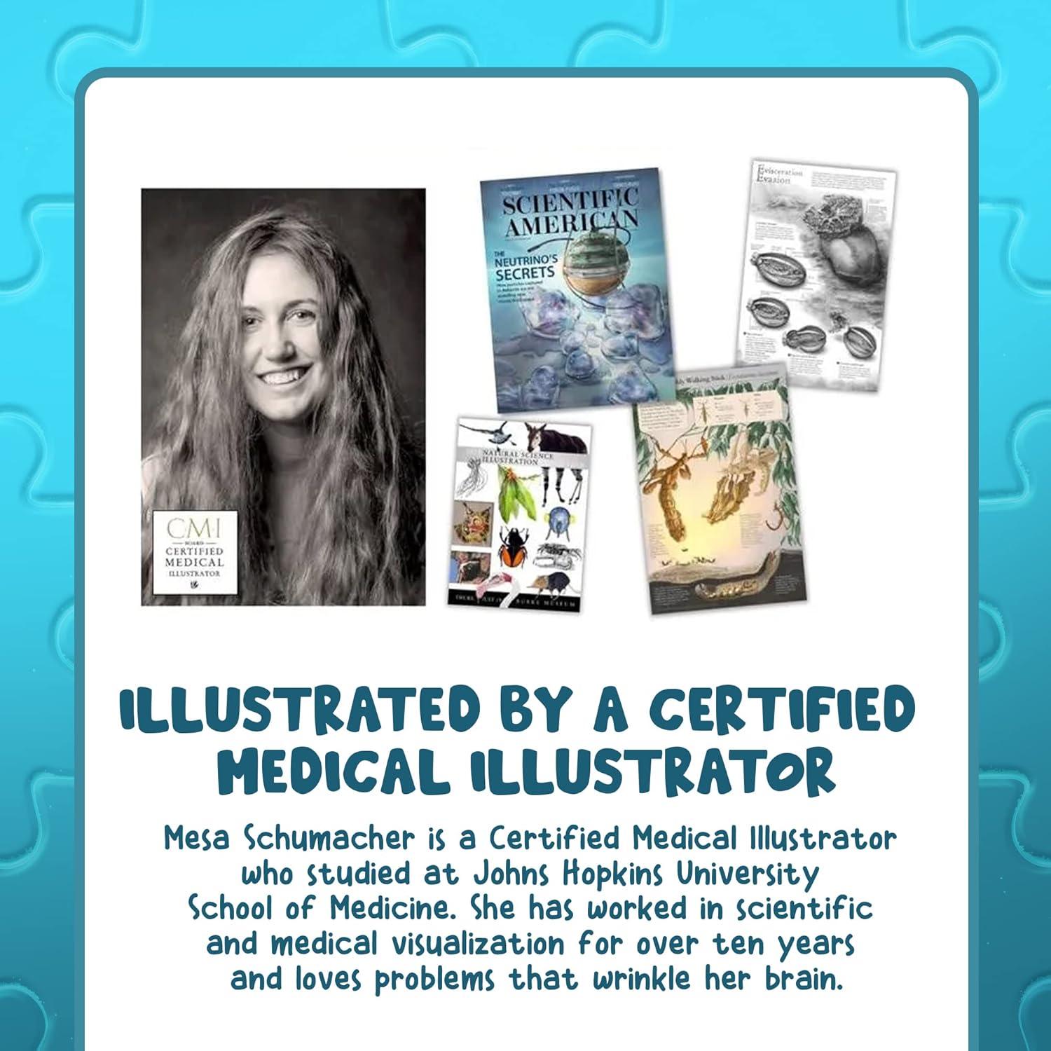 Rompecabezas de Anatomía Humana Genius Games 100 Piezas